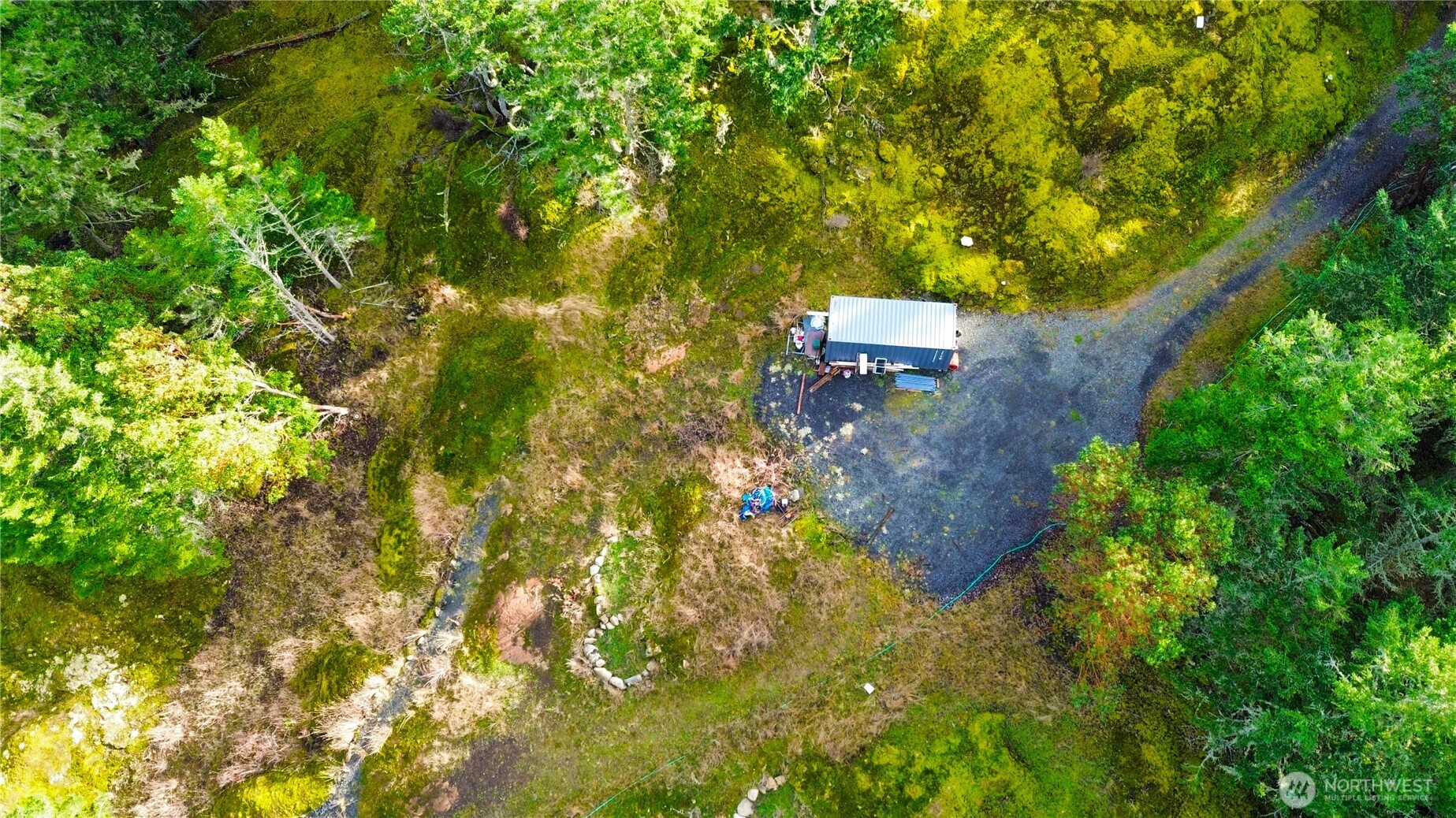 705 Mt Dallas Road Friday Harbor, WA 98250 - Photo 7 of 26 a backyard of a house with lots of green space