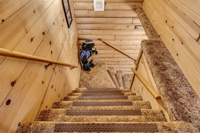 a view of a yard with large trees
