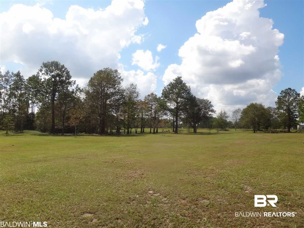 19359 3 Rivers Road Seminole, AL 36574 - Photo 17 of 18