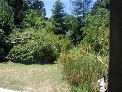556 Harrison Street Sebastopol, CA 95472 - Photo 3 of 3 Gallery Image 3