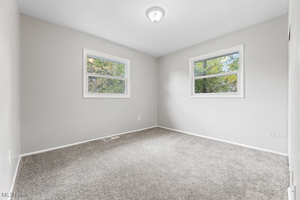 410 Longview Road Medina, OH 44256 - Photo 29 of 50 Spare room with carpet floors and plenty of natural light