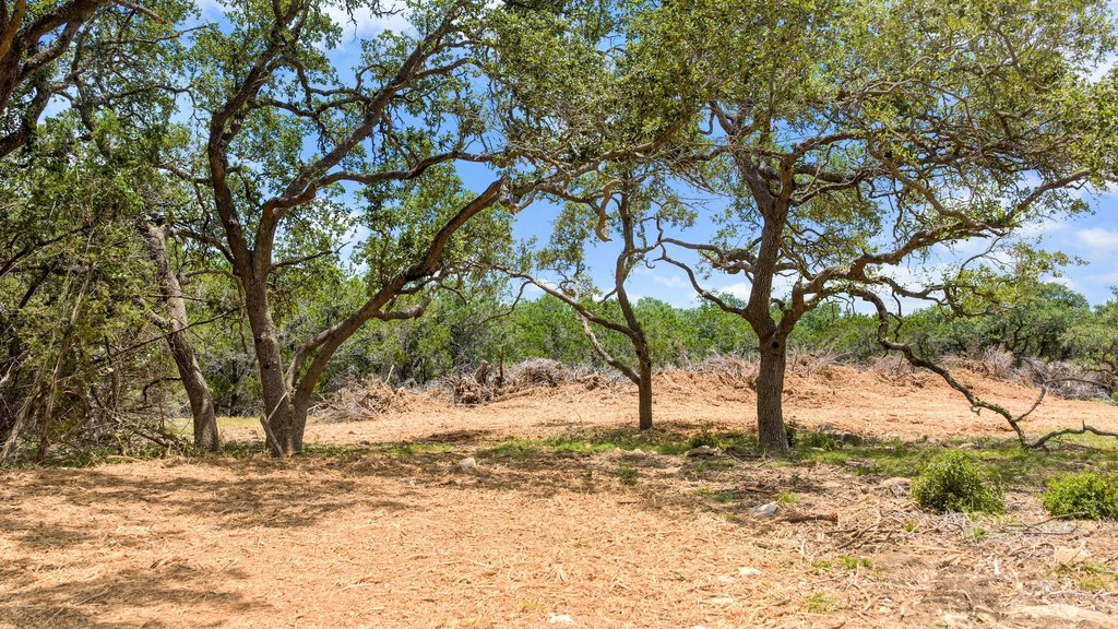 Mature oak trees frame a cleared, sun-dappled building site ready for development.