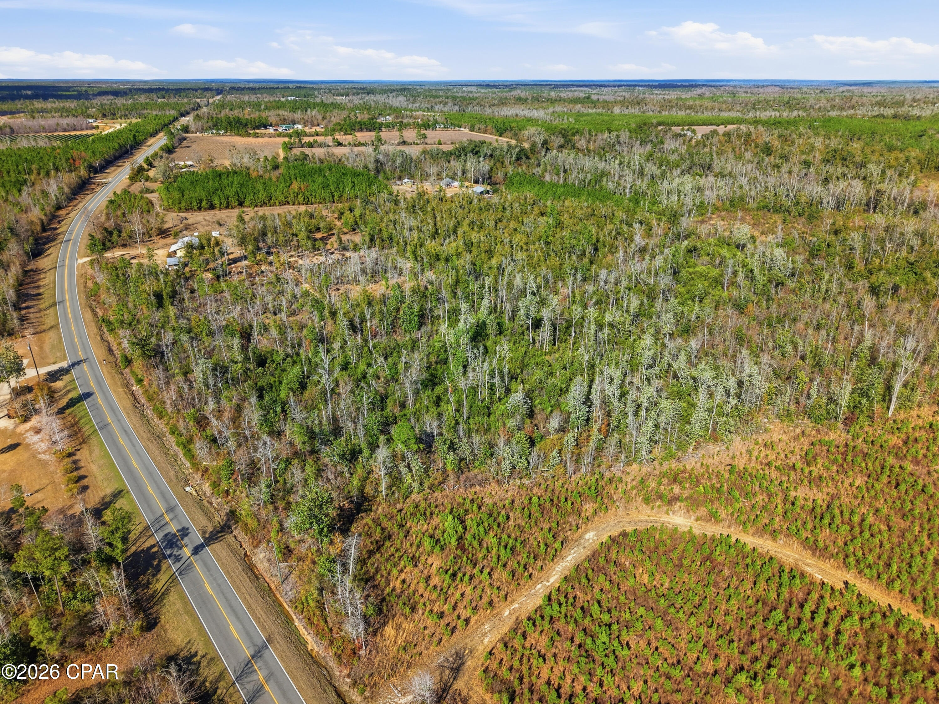 11075 Newsome Road Clarksville, FL 32430 - Photo 6 of 15