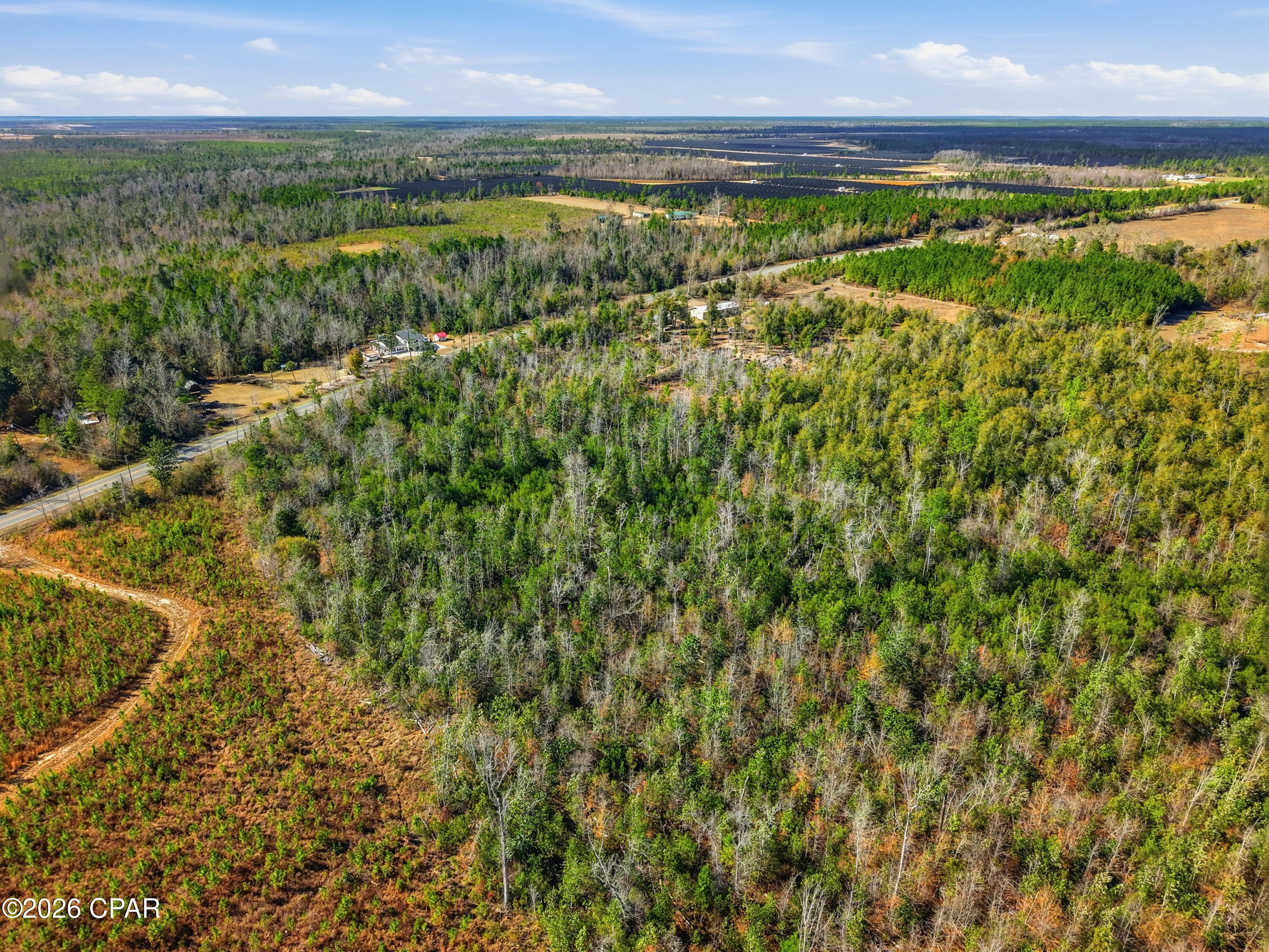 11075 Newsome Road Clarksville, FL 32430 - Photo 7 of 15