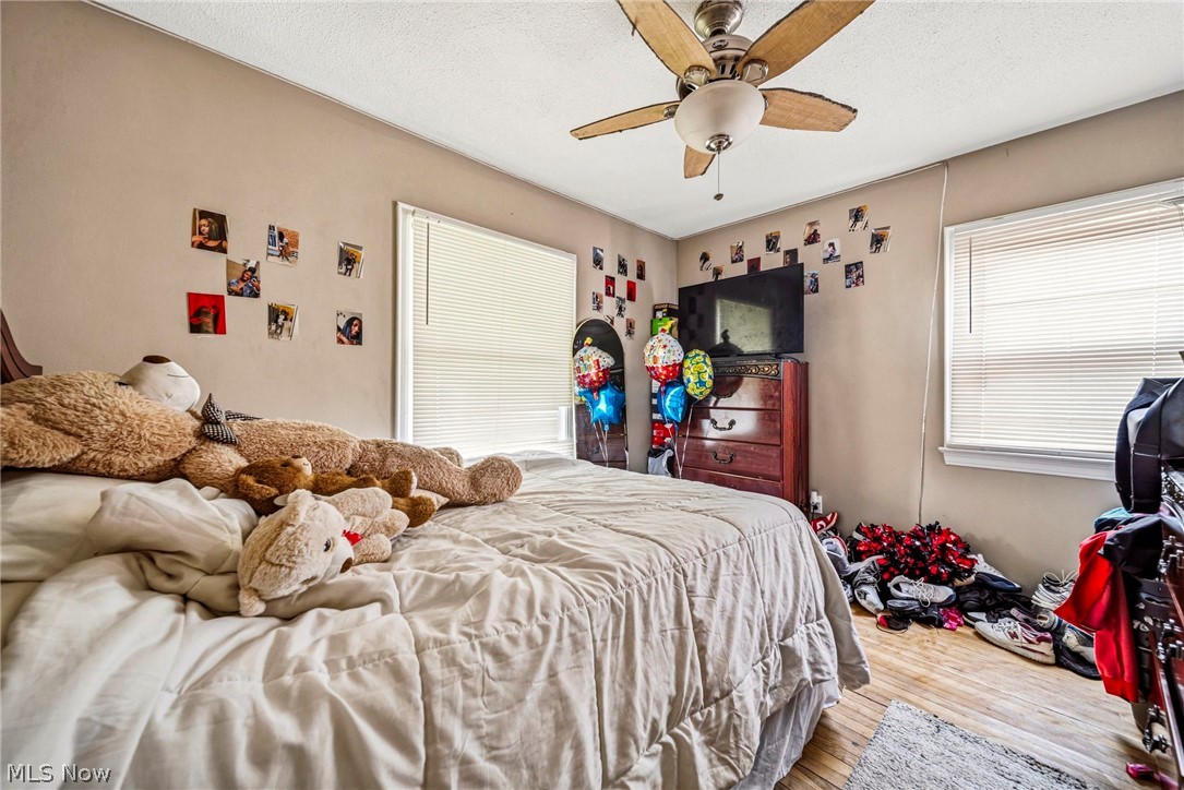 955 Nye Road Cleveland, OH 44110 - Photo 11 of 30 Gallery Image 11