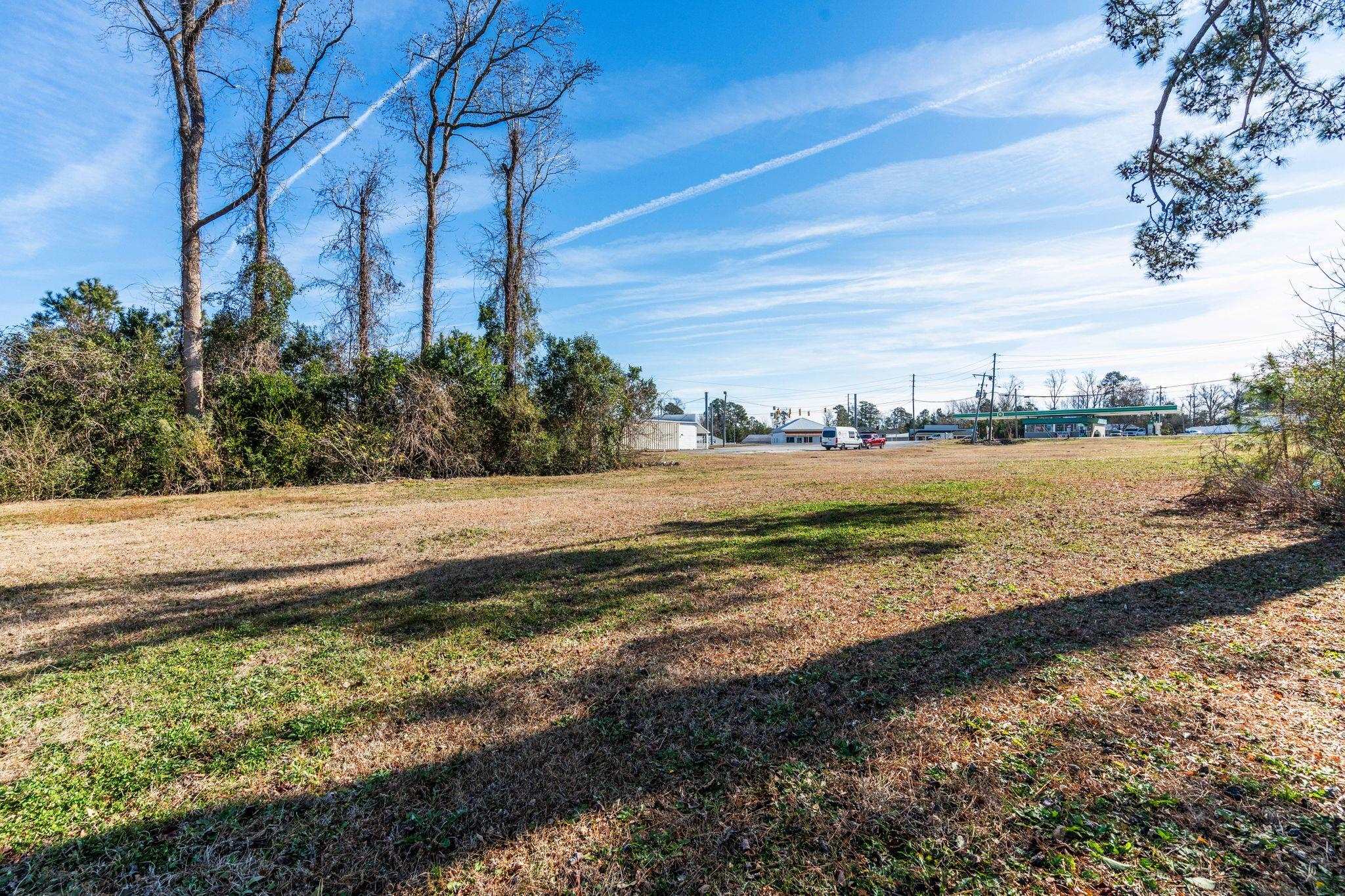 Tbd South Madison Street Westminster, SC 29693 - Photo 5 of 27 View of green lawn
