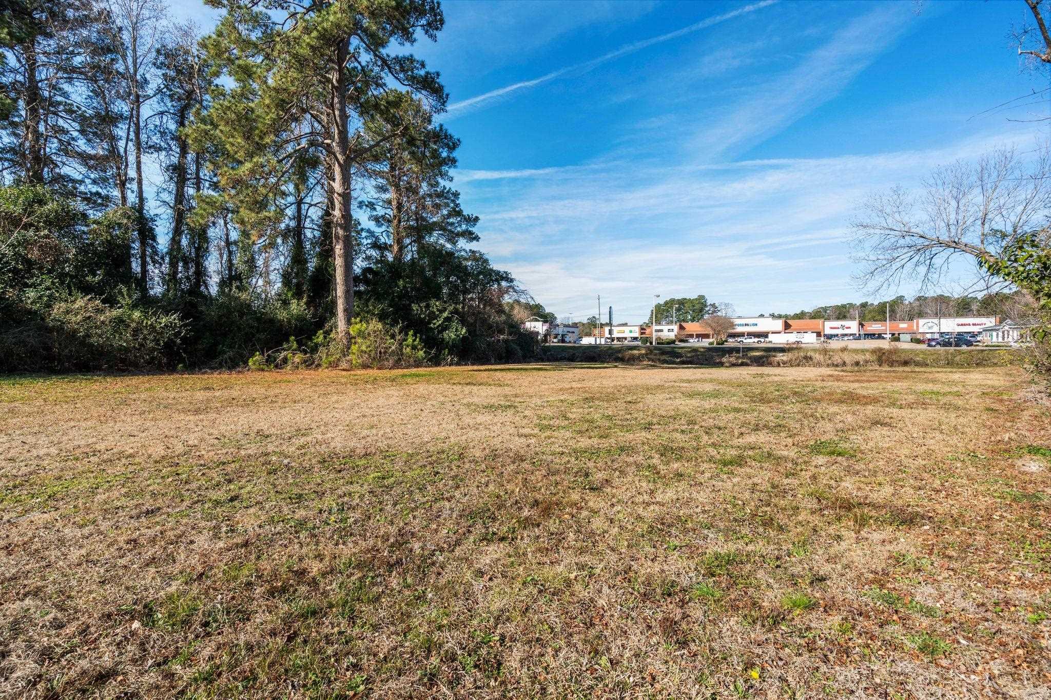 Tbd South Madison Street Westminster, SC 29693 - Photo 7 of 27 View of grassy yard