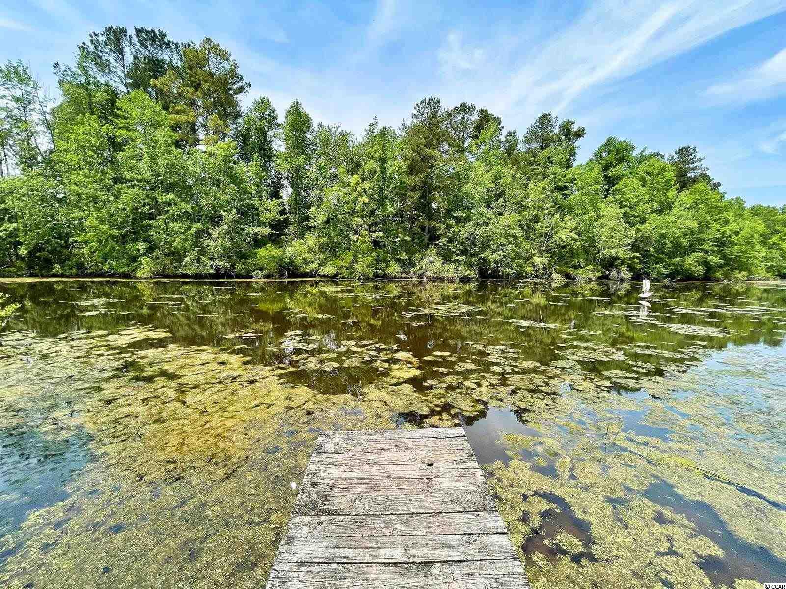 525 Green Sea Road North Loris, SC 29569 - Photo 32 of 36 Gallery Image 32