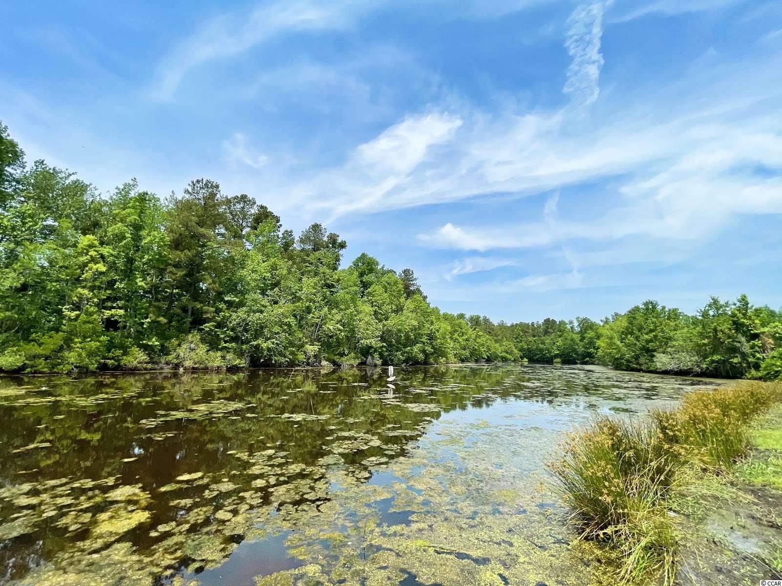 525 Green Sea Road North Loris, SC 29569 - Photo 33 of 36 Gallery Image 33