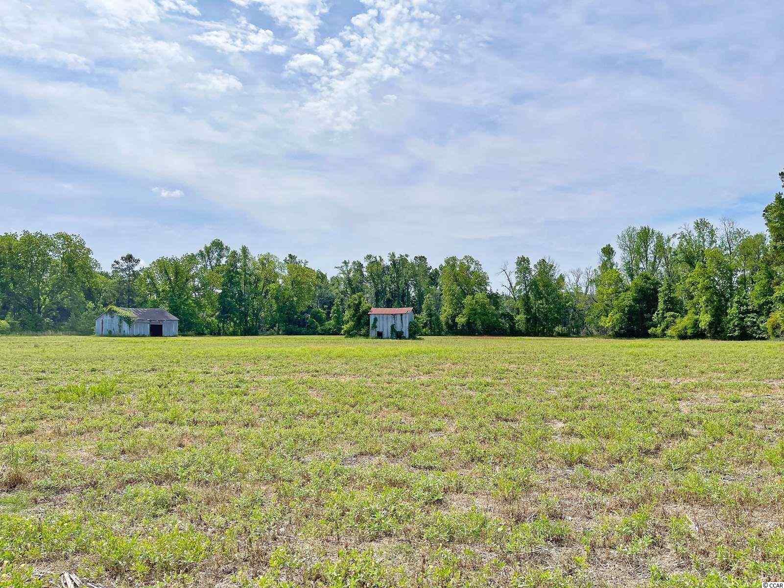 525 Green Sea Road North Loris, SC 29569 - Photo 34 of 36 Gallery Image 34