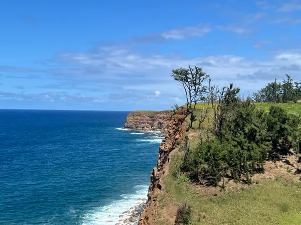 $2,300,000 | 55-199 Hoea Road, Hawi, HI 96719