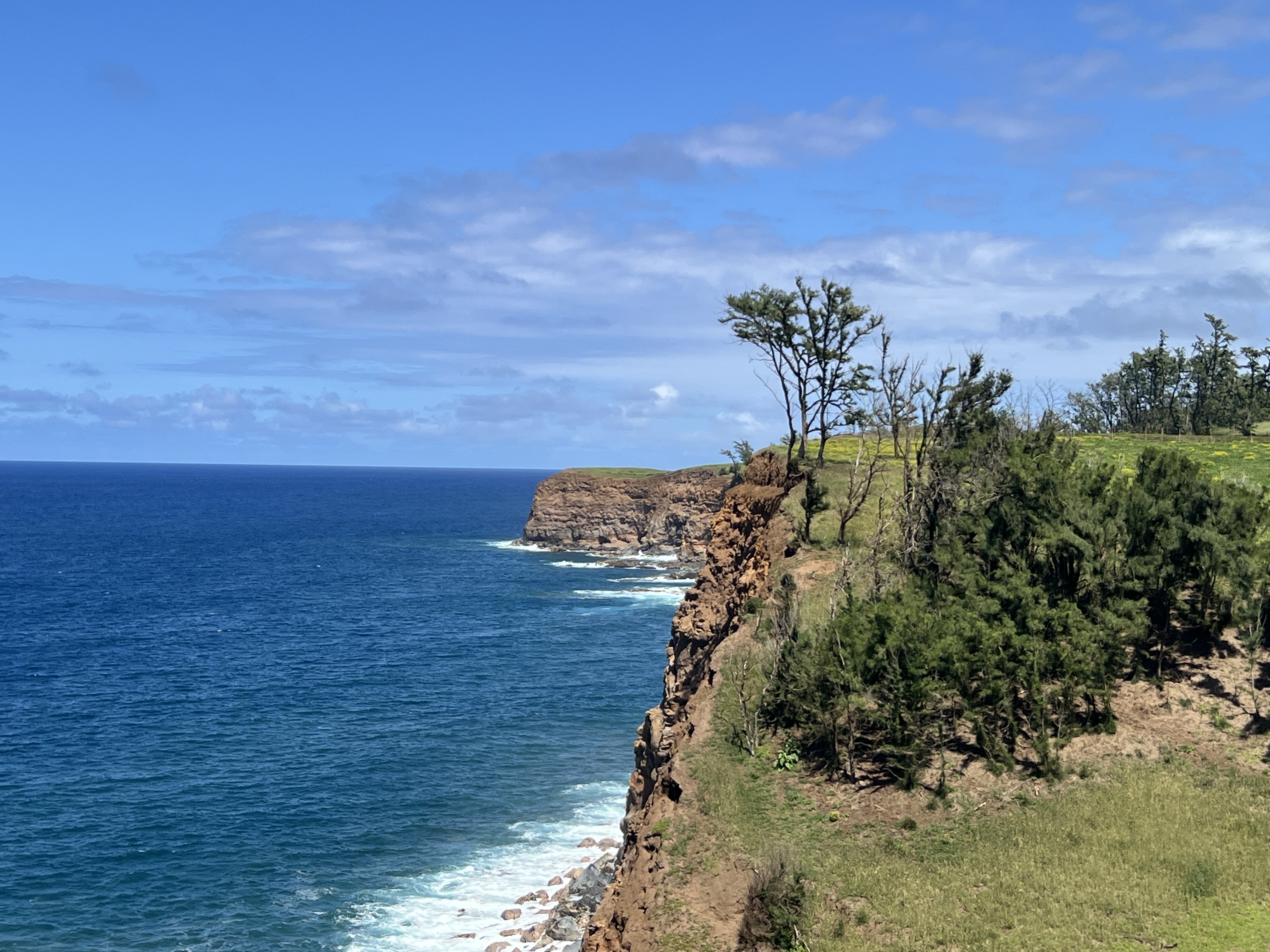 1 Uli Road Kapaau, HI 96755 - Photo 13 of 14