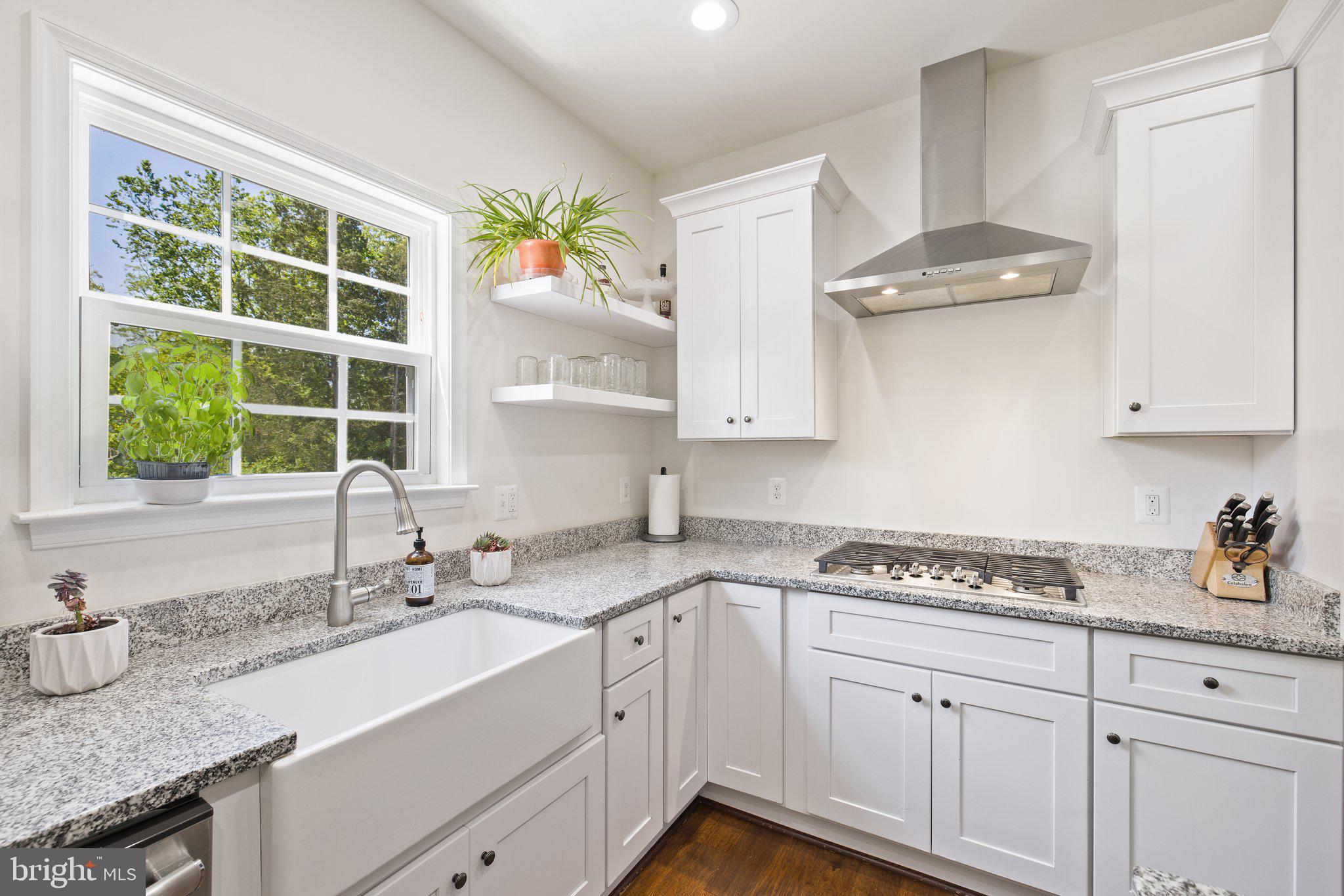 6007 Snow Mountain Road Broad Run, VA 20137 - Photo 22 of 54 Fabulous farm sink