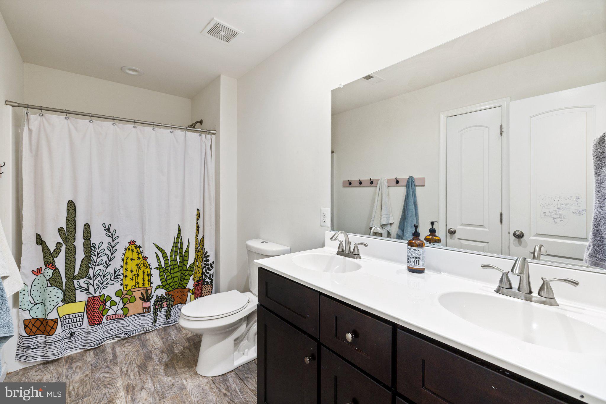 6007 Snow Mountain Road Broad Run, VA 20137 - Photo 29 of 54 Hall bath