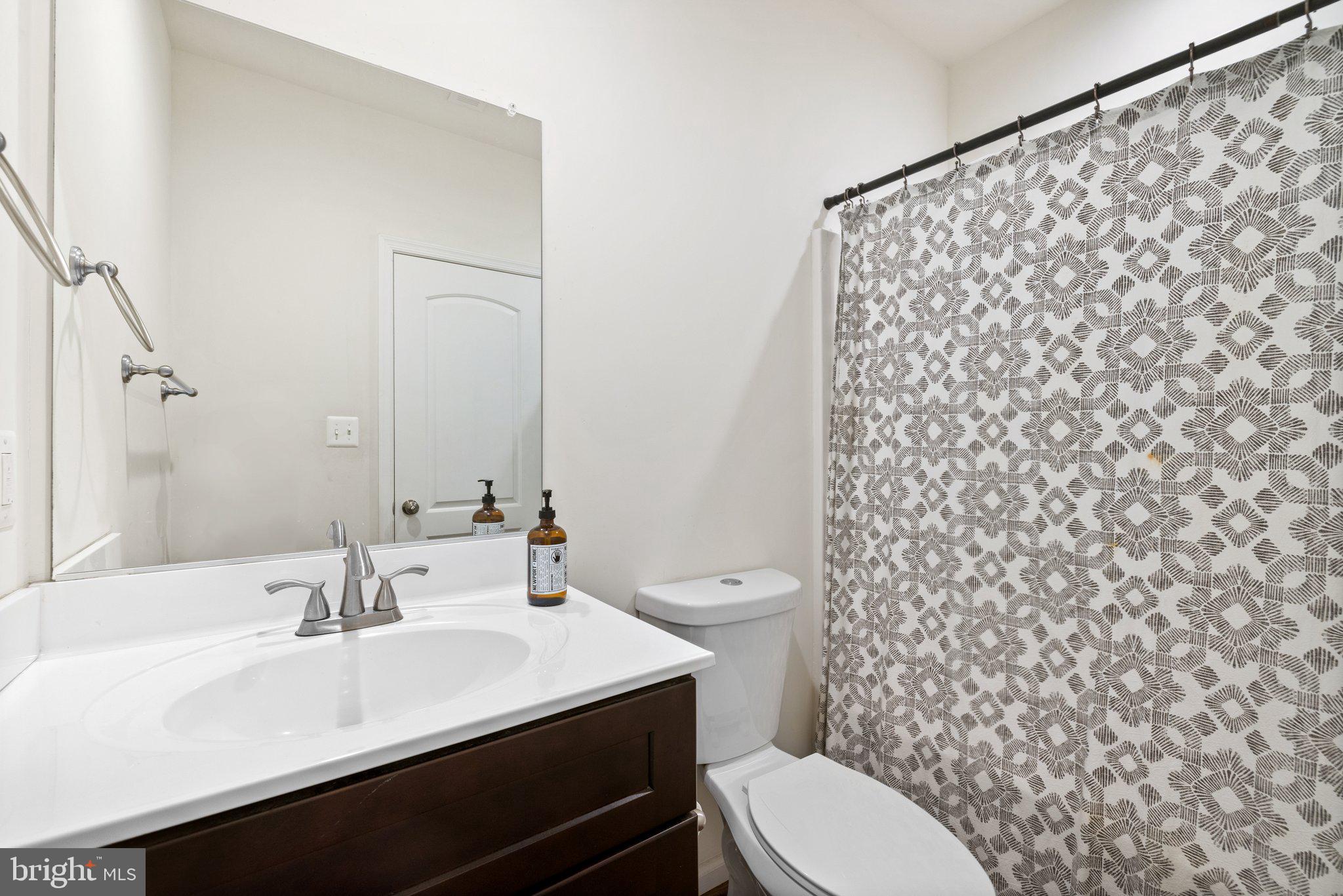 6007 Snow Mountain Road Broad Run, VA 20137 - Photo 42 of 54 Basement full bath