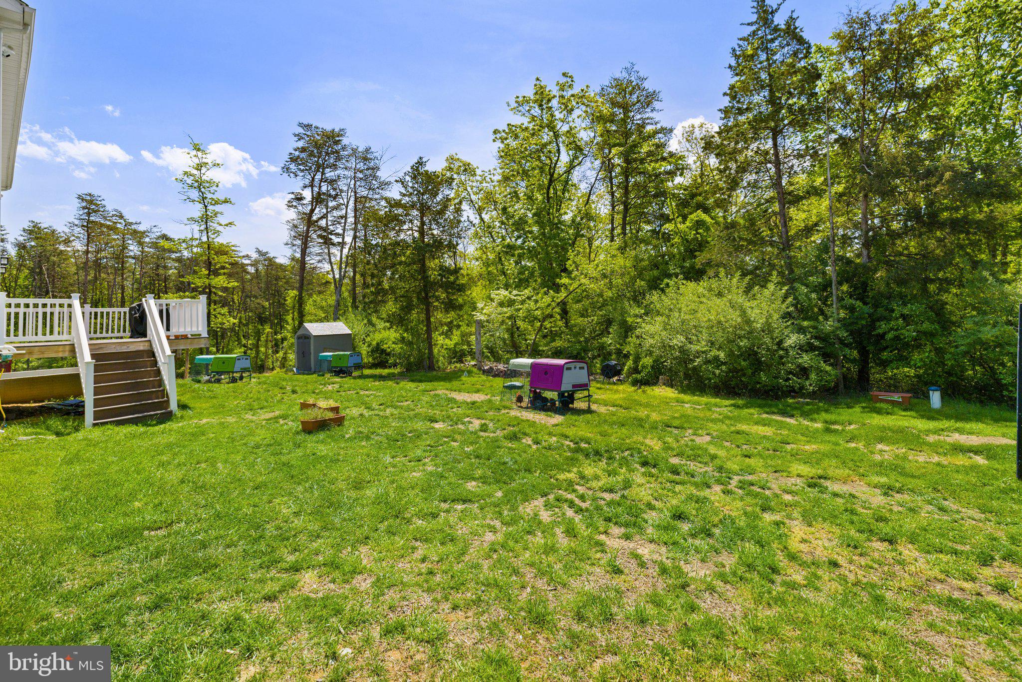 6007 Snow Mountain Road Broad Run, VA 20137 - Photo 45 of 54 Great backyard and lots of space to explore