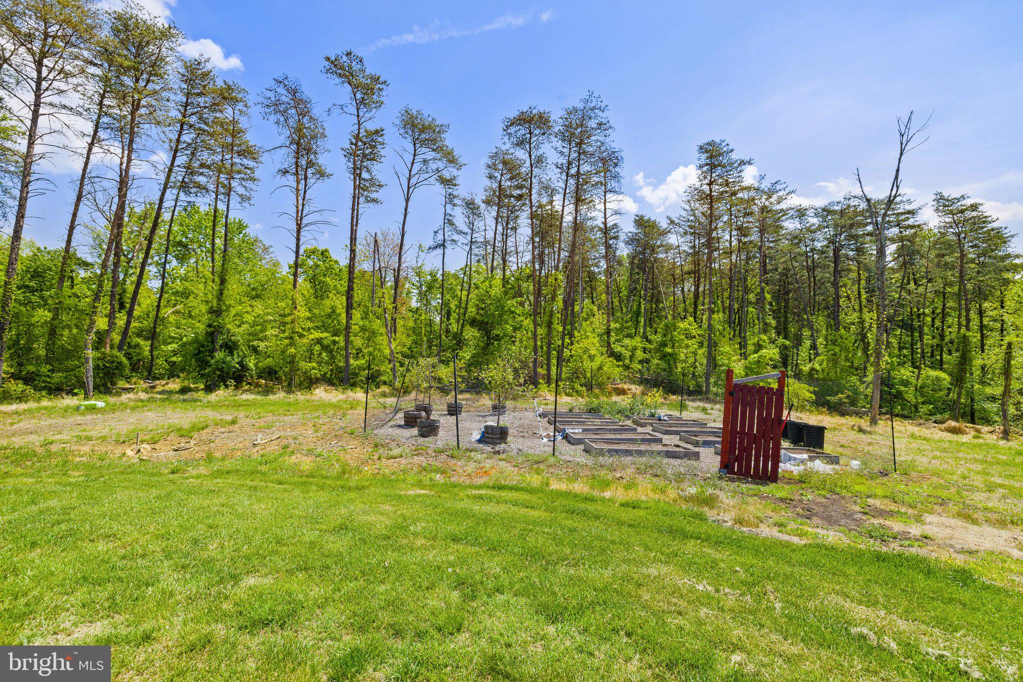 6007 Snow Mountain Road Broad Run, VA 20137 - Photo 47 of 54 Garden