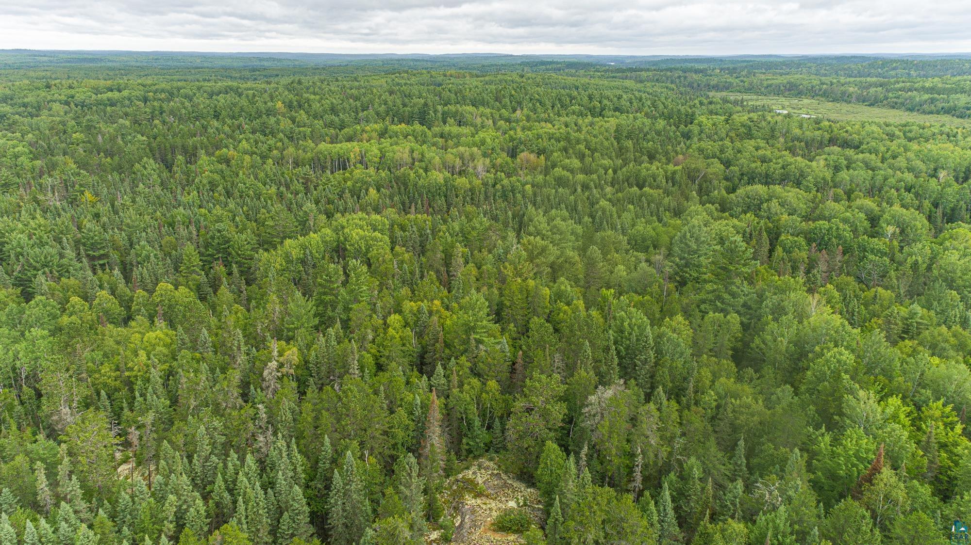 Tbd Echo Trail Ely, MN 55731 - Photo 12 of 28