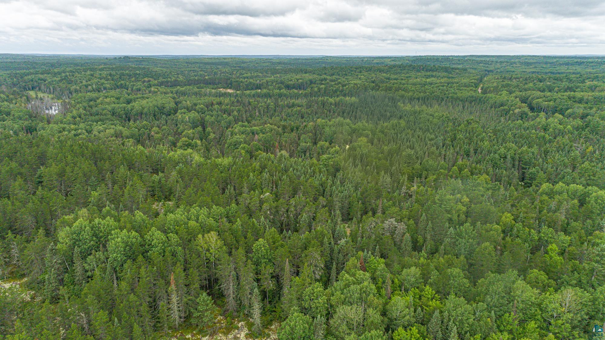 Tbd Echo Trail Ely, MN 55731 - Photo 13 of 28