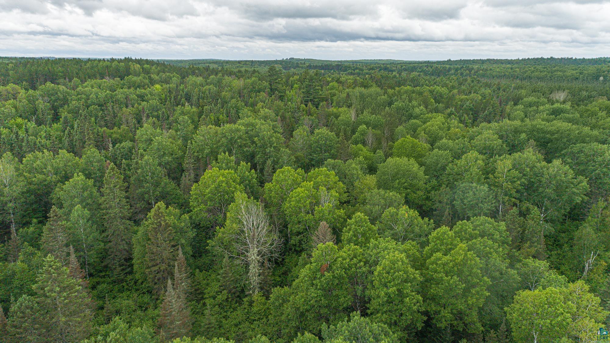 Tbd Echo Trail Ely, MN 55731 - Photo 19 of 28