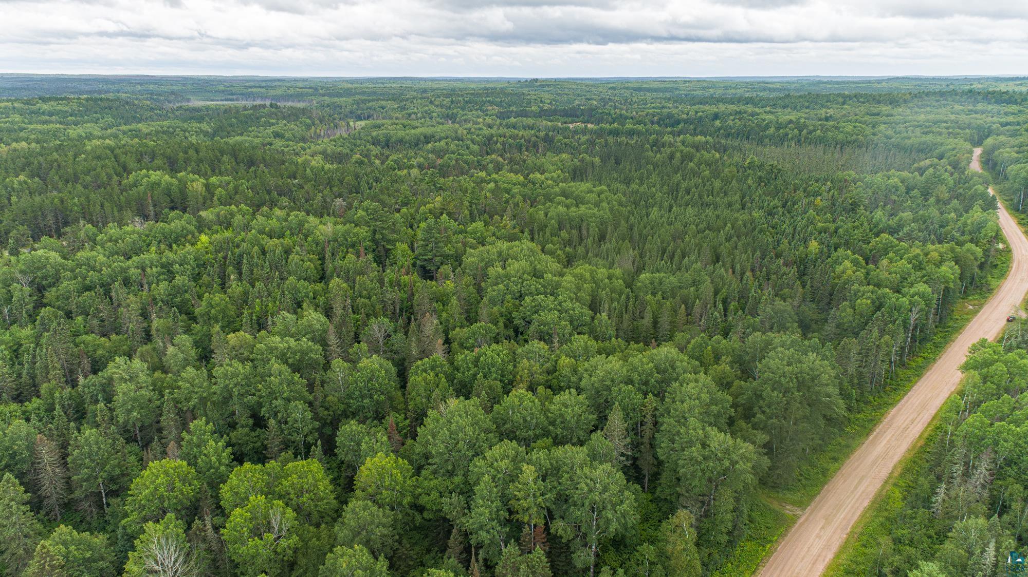 Tbd Echo Trail Ely, MN 55731 - Photo 20 of 28