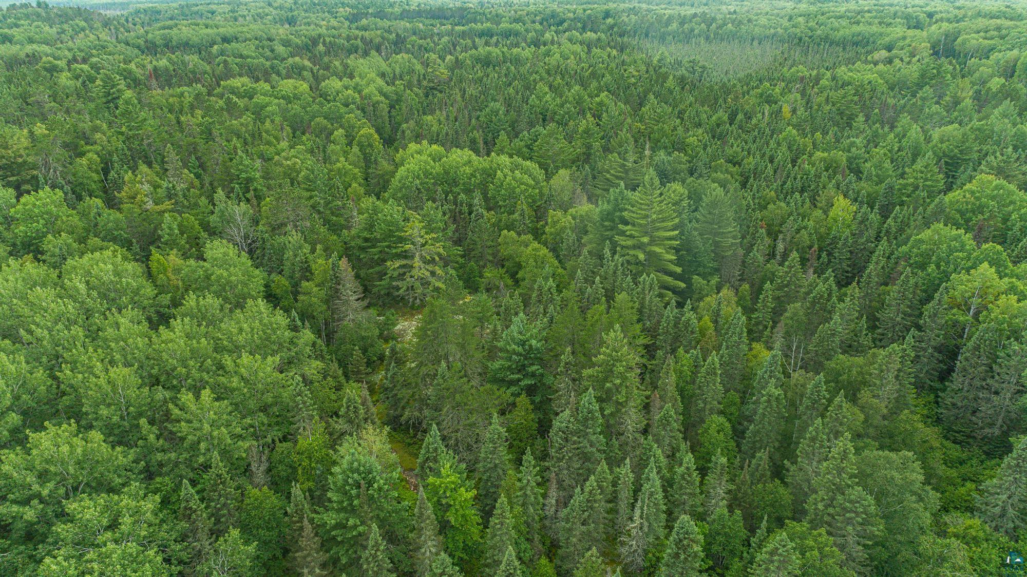 Tbd Echo Trail Ely, MN 55731 - Photo 23 of 28