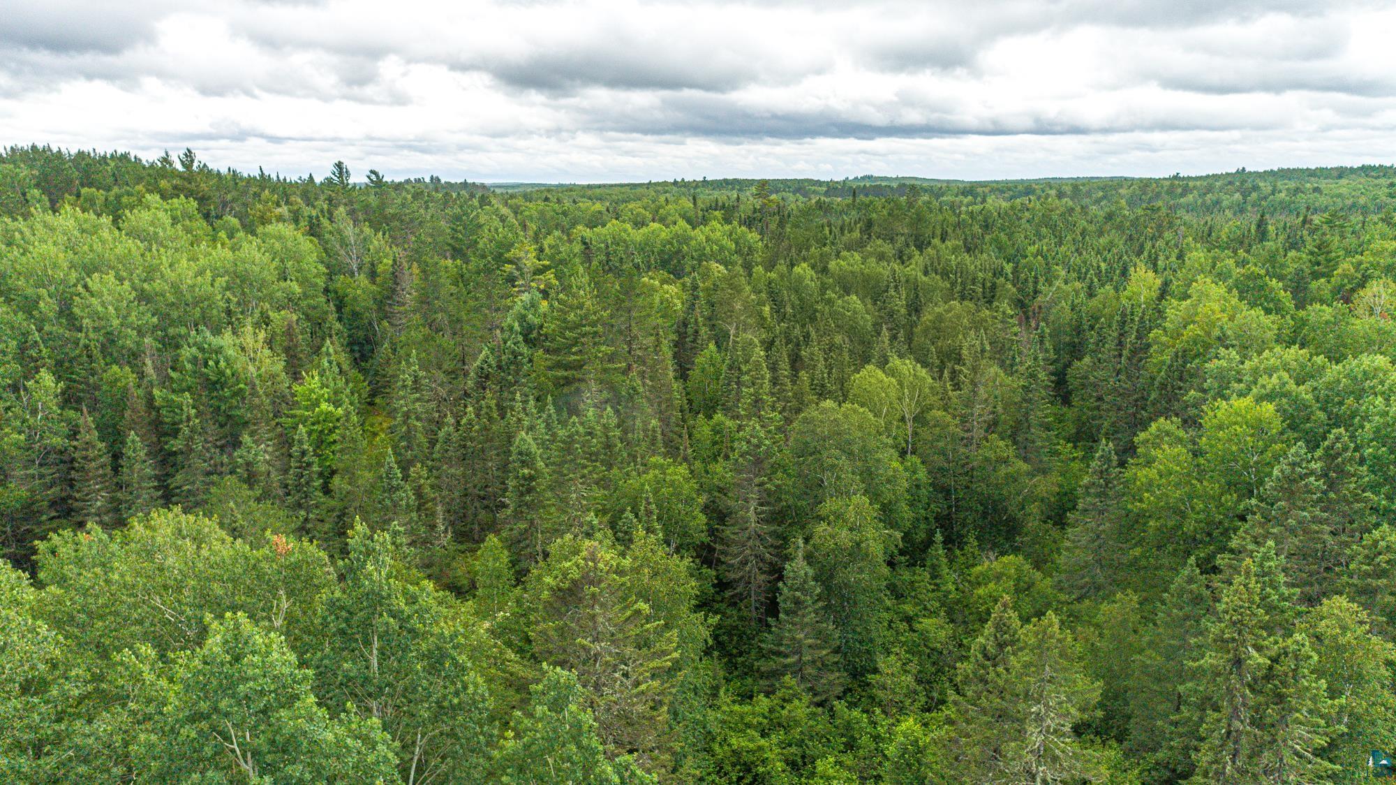 Tbd Echo Trail Ely, MN 55731 - Photo 26 of 28