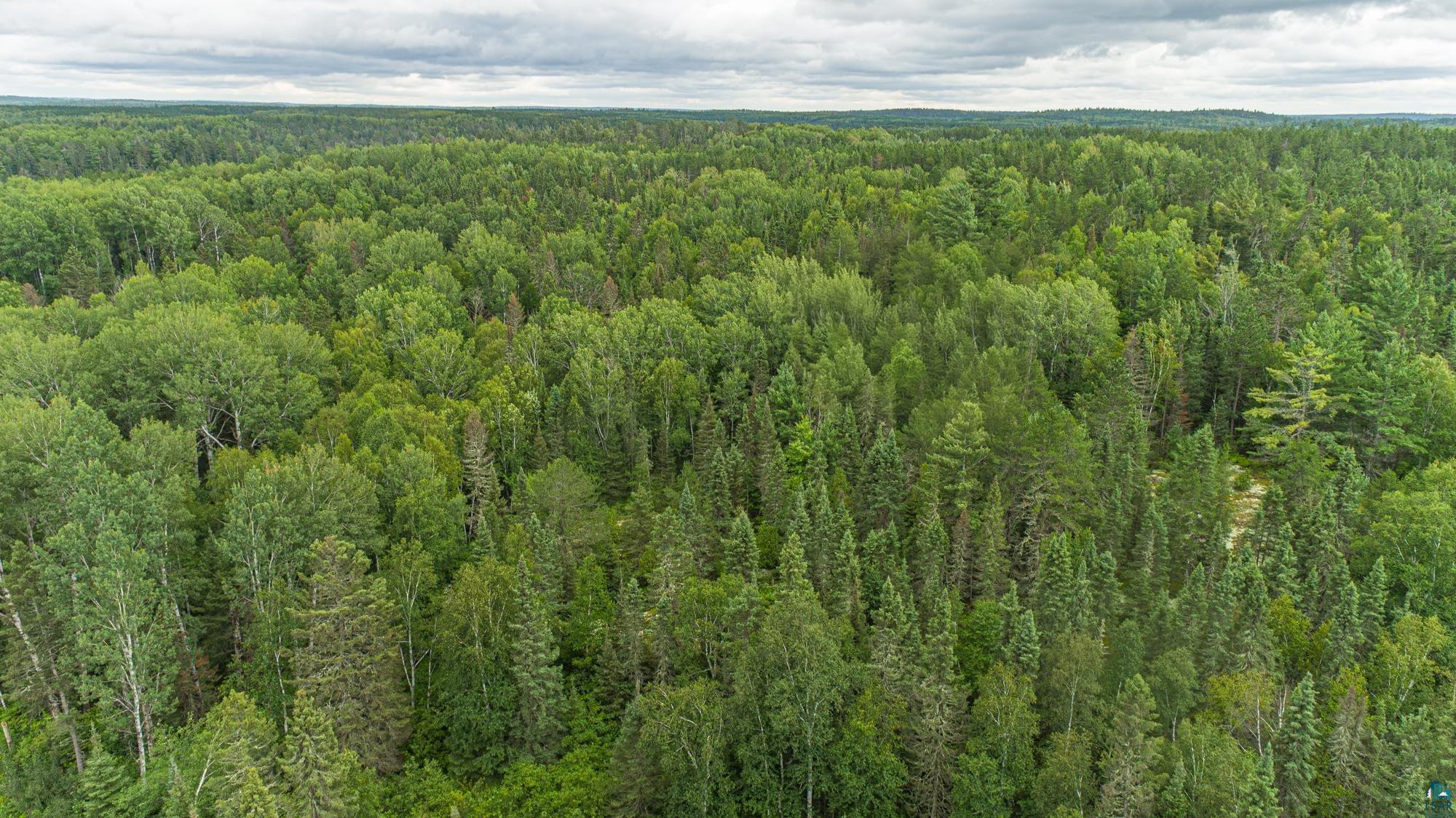 Tbd Echo Trail Ely, MN 55731 - Photo 27 of 28