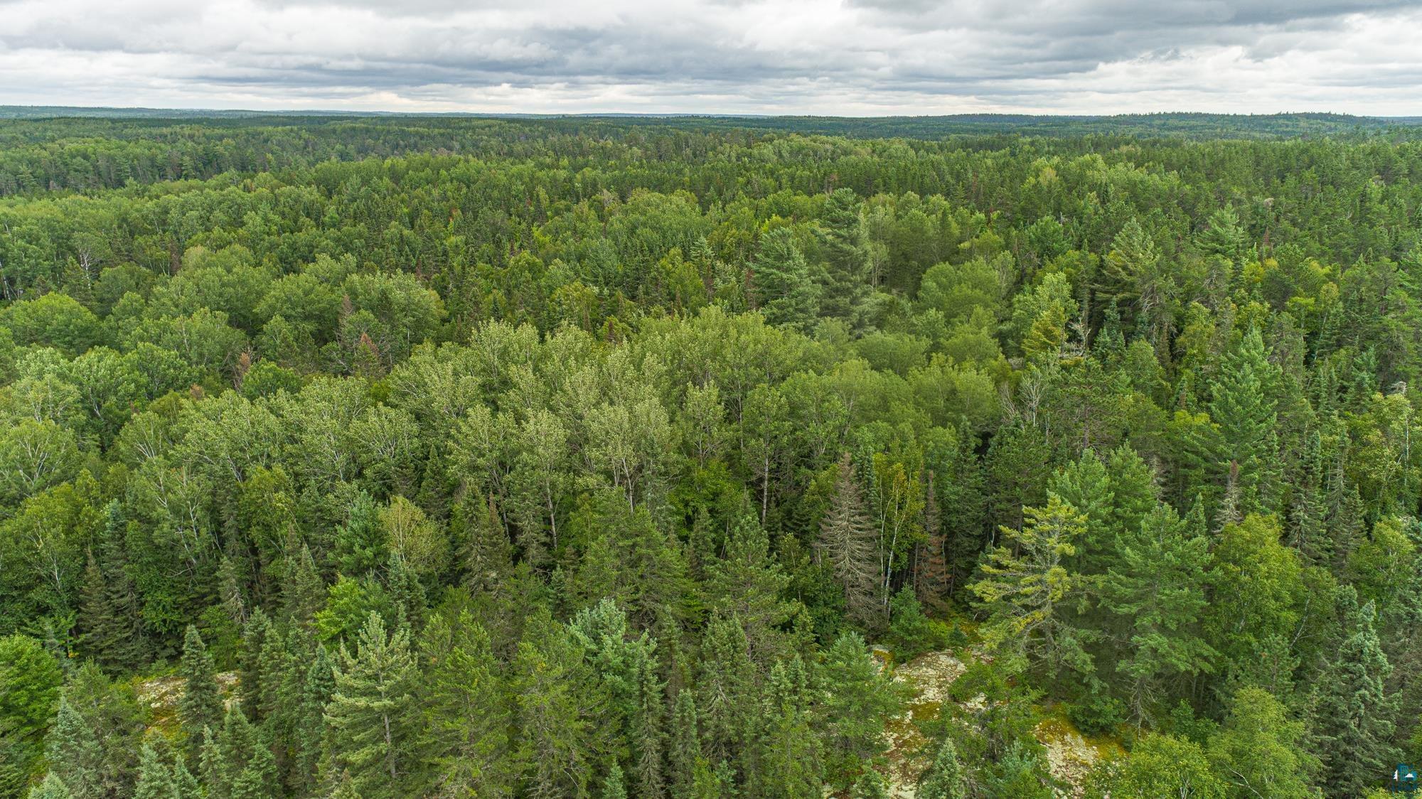Tbd Echo Trail Ely, MN 55731 - Photo 28 of 28
