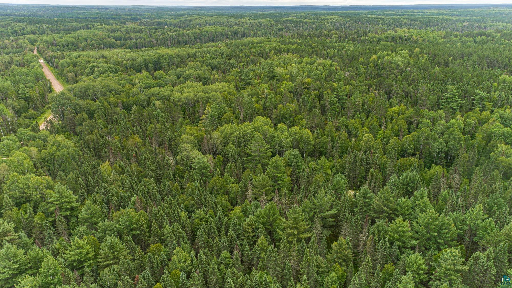 Tbd Echo Trail Ely, MN 55731 - Photo 5 of 28