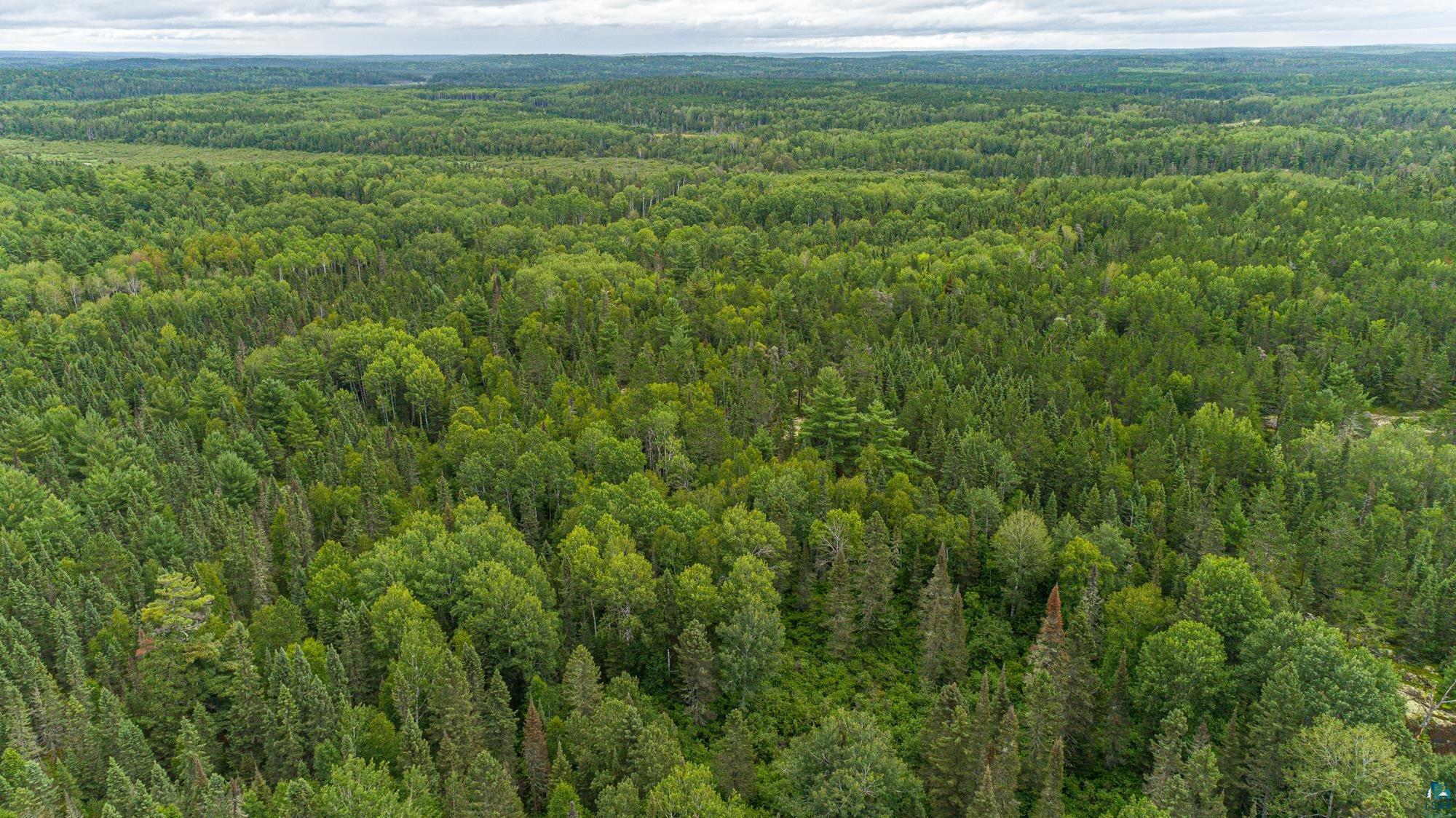 Tbd Echo Trail Ely, MN 55731 - Photo 6 of 28