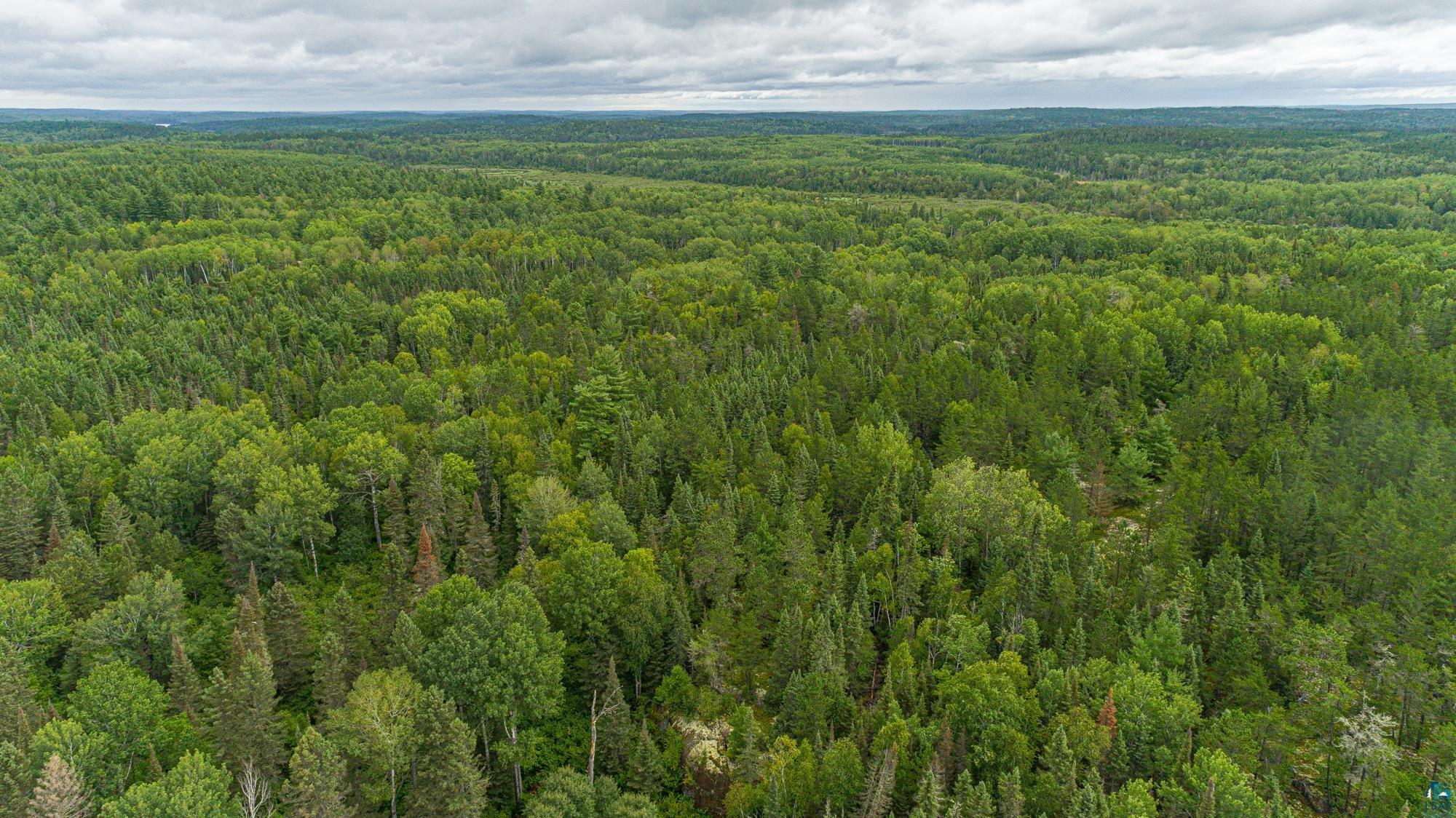 Tbd Echo Trail Ely, MN 55731 - Photo 7 of 28