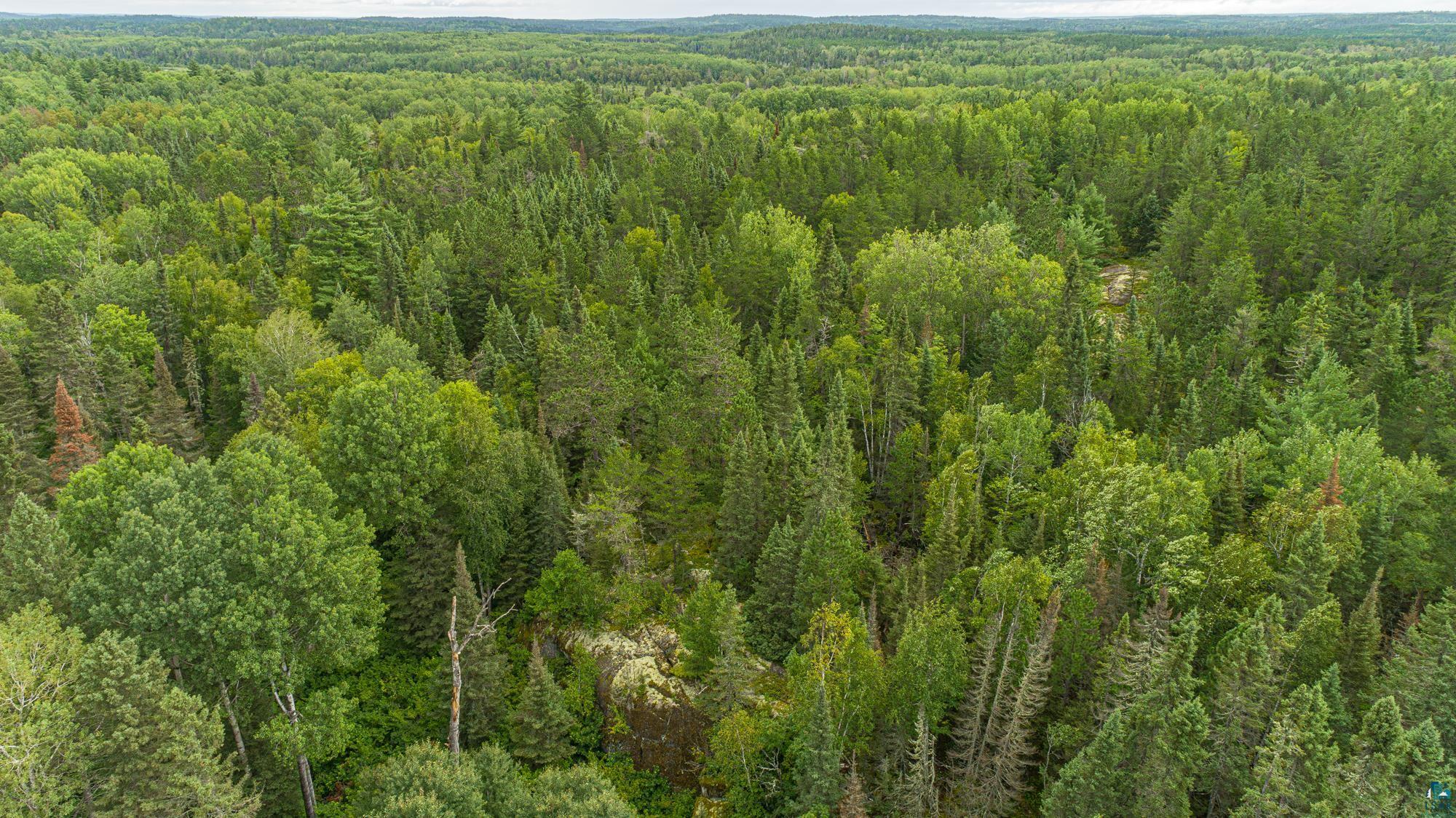 Tbd Echo Trail Ely, MN 55731 - Photo 8 of 28
