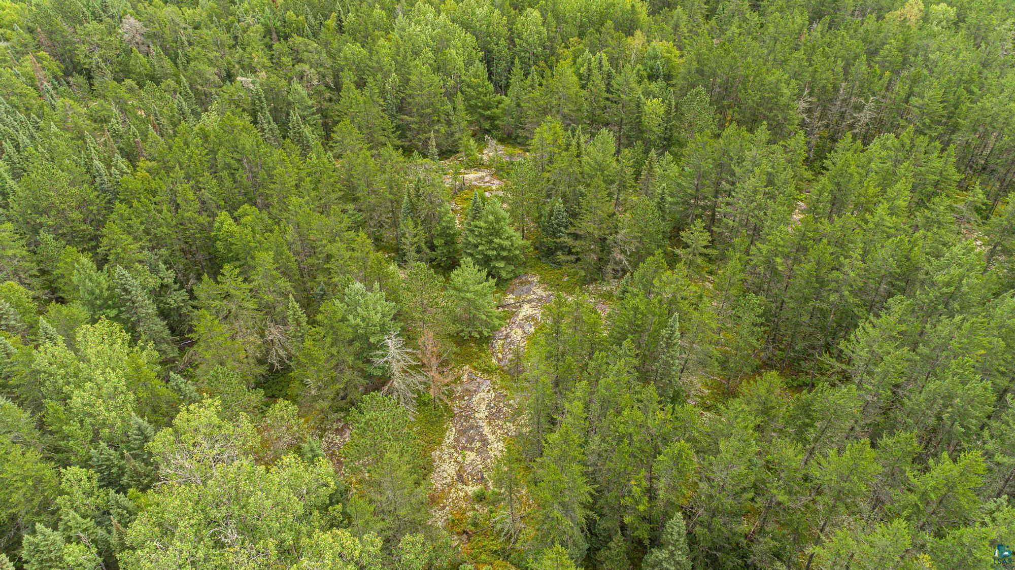 Tbd Echo Trail Ely, MN 55731 - Photo 9 of 28
