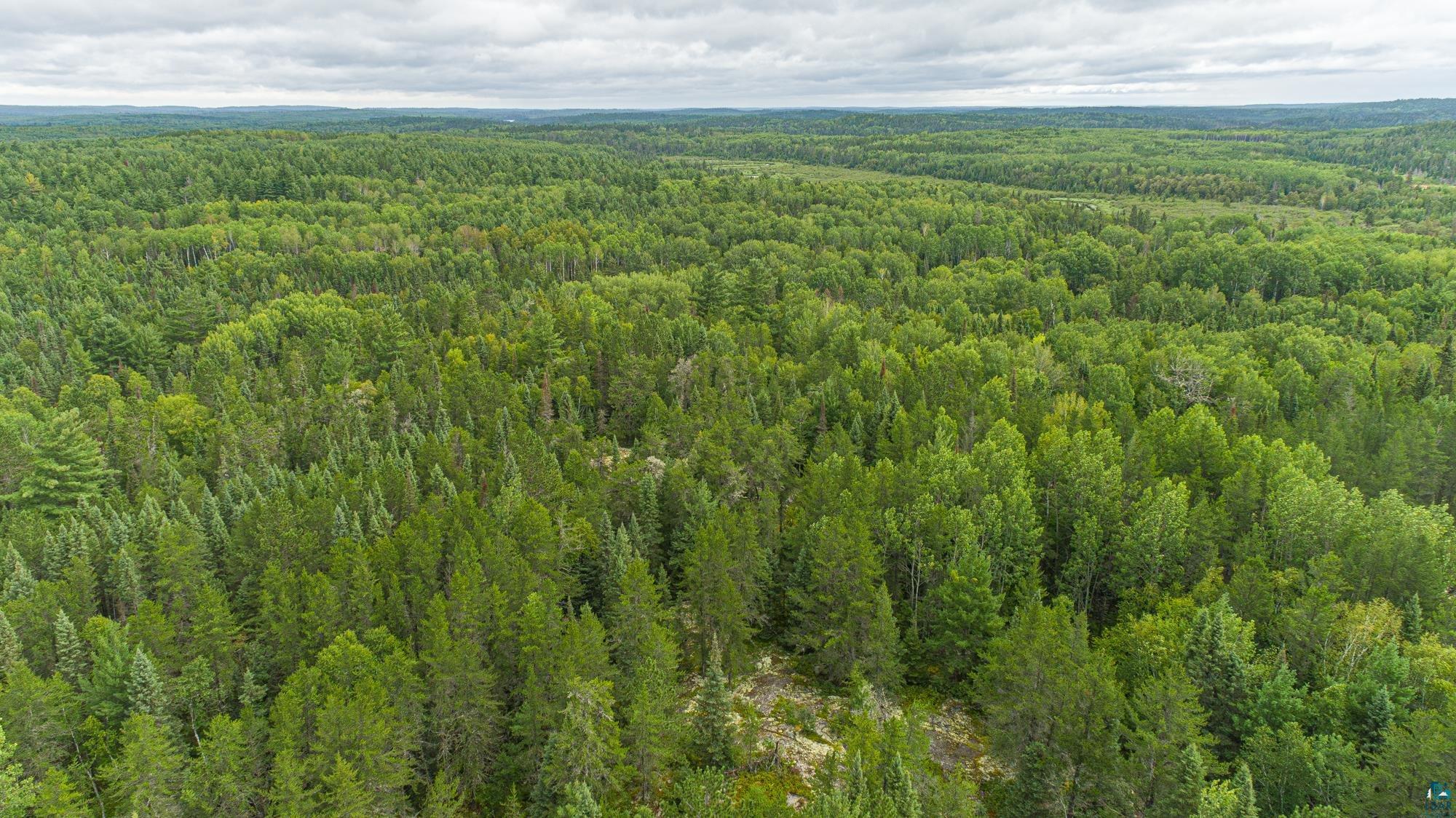 Tbd Echo Trail Ely, MN 55731 - Photo 10 of 28