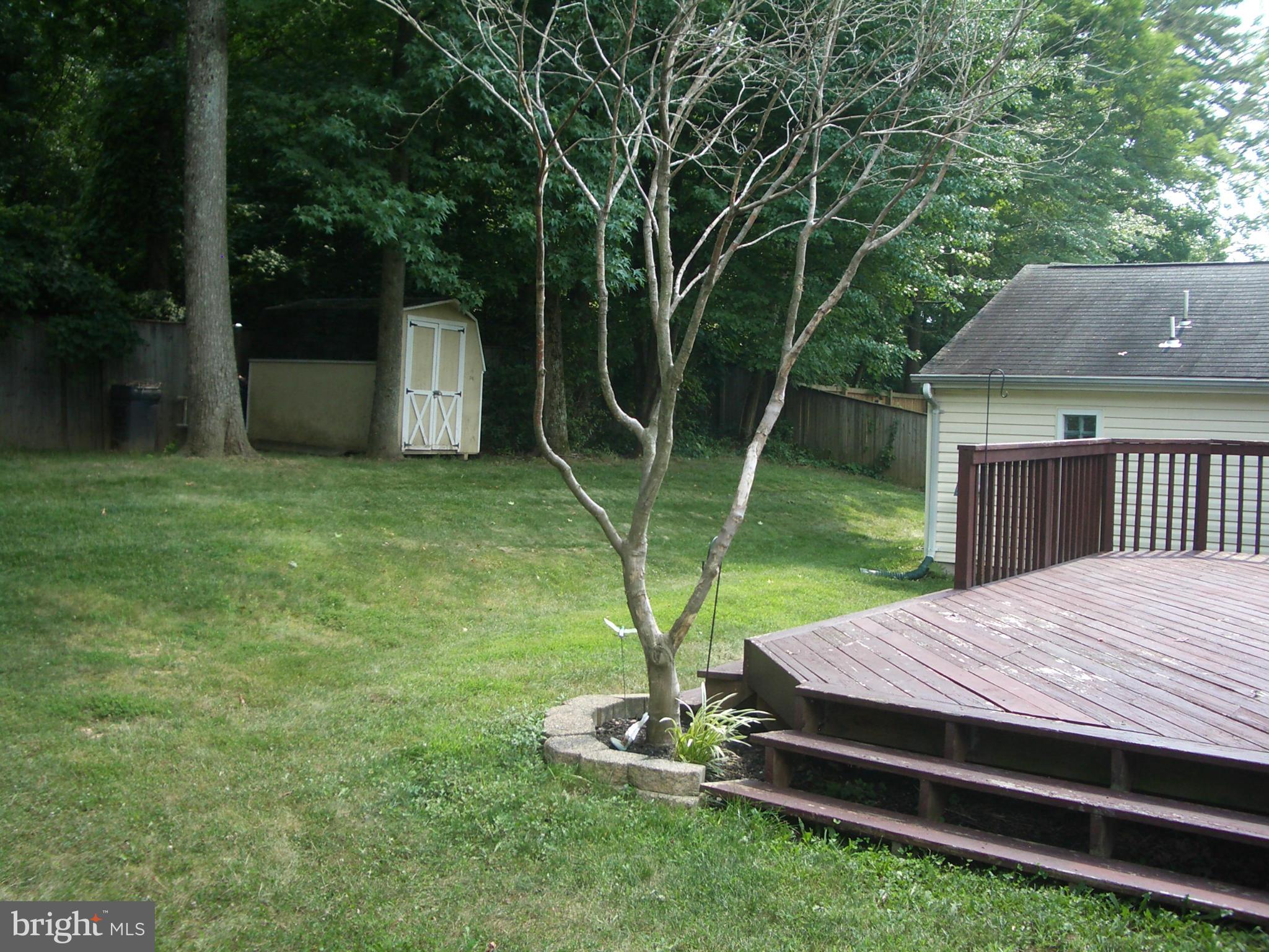 10117 Bignonia Drive Laurel, MD 20708 - Photo 17 of 19 Exterior (Rear)