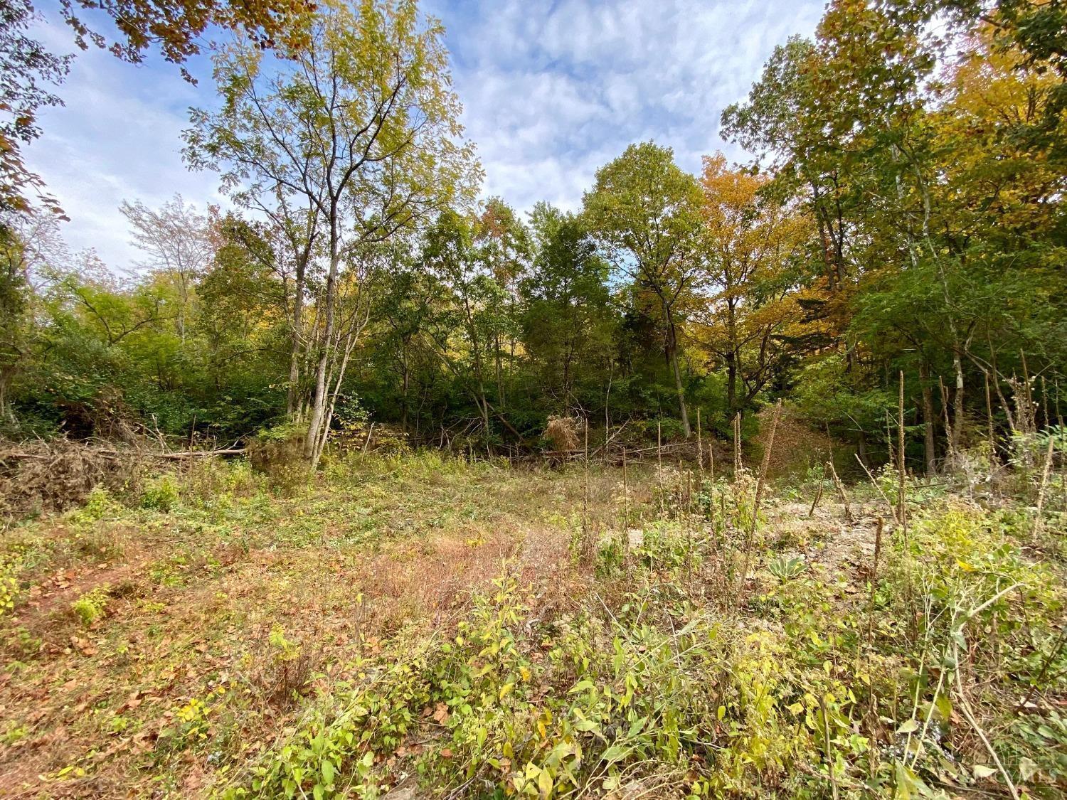 17-ac Corwin Road Oregonia, OH 45054 - Photo 6 of 18 Gallery Image 6