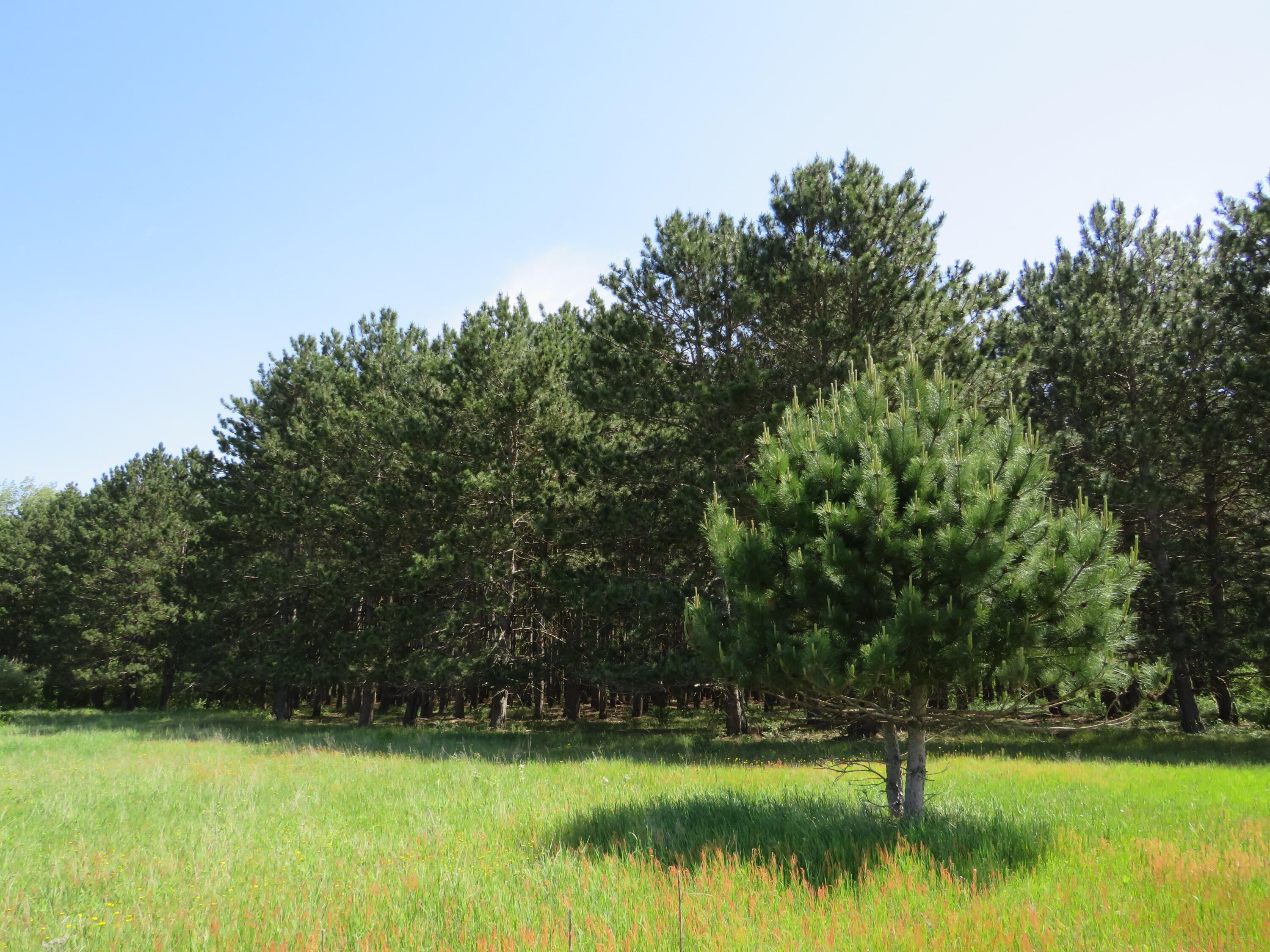 Vl South Elkton Road Owendale, MI 48754 - Photo 27 of 39 IMG_6518
