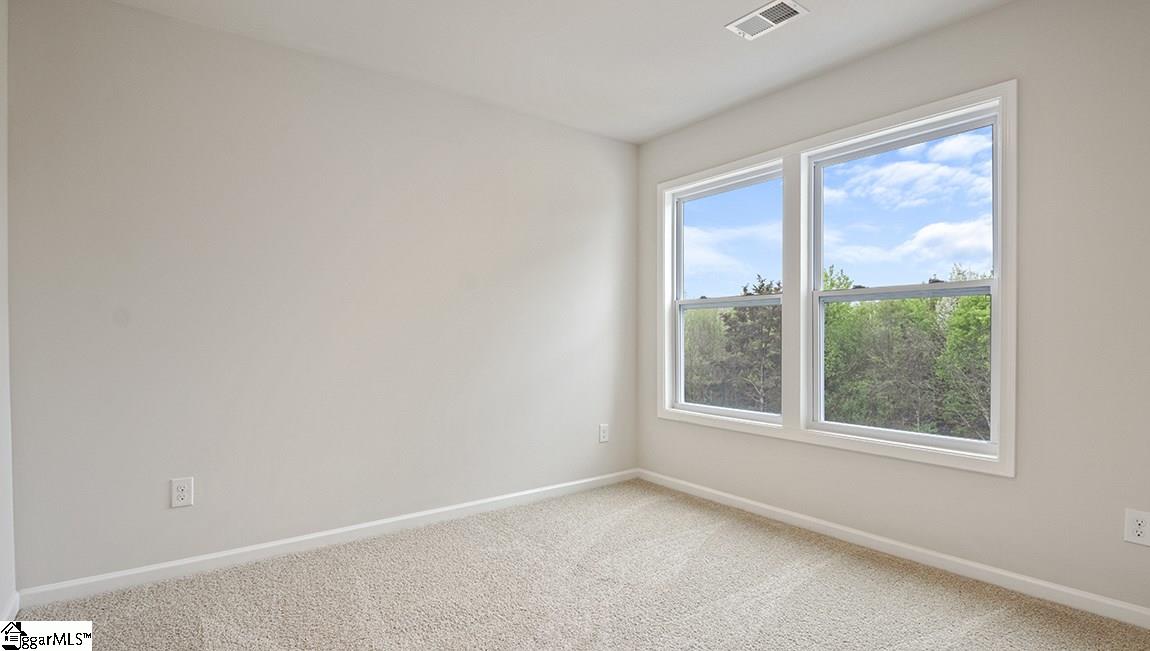 407 Yellow Fox Road, Unit 169 Greer, SC 29651 - Photo 13 of 21