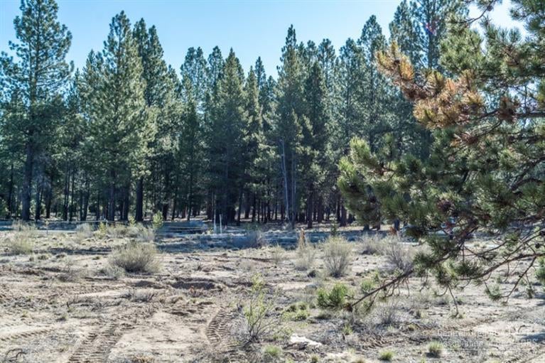 153 Sunstone Loop Bend, OR 97707 - Photo 17 of 21 Gallery Image 17