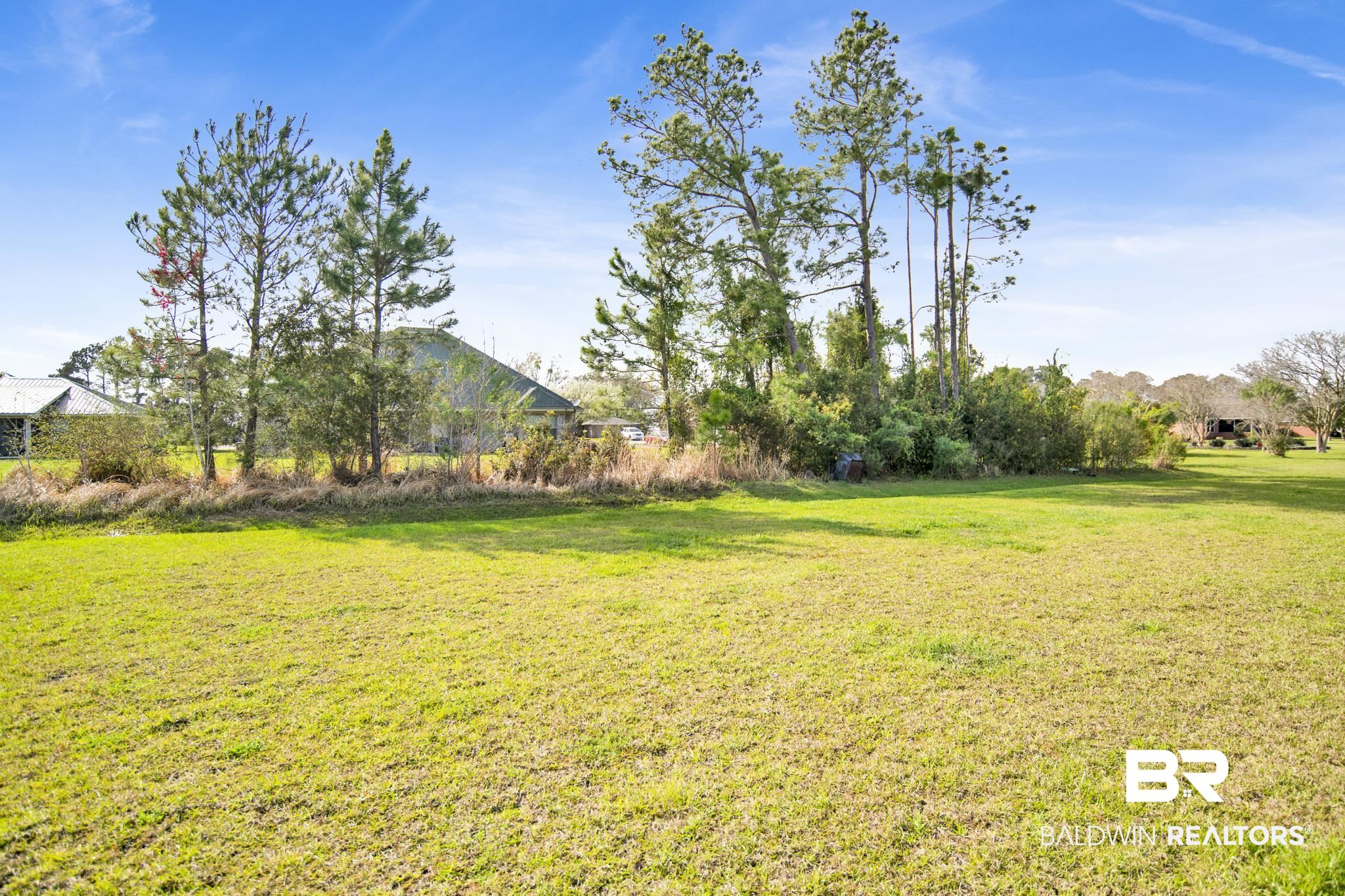 22258 Hibiscus Circle Foley, AL 36535 - Photo 23 of 26 View of yard