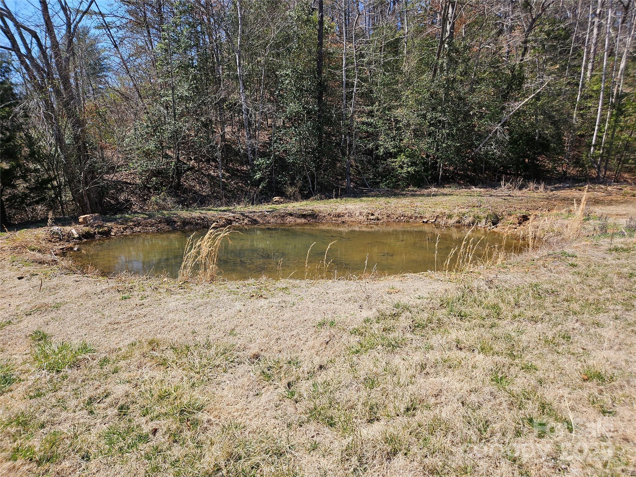 2442 Christopher Road Morganton, NC 28655 - Photo 38 of 42 Gallery Image 38