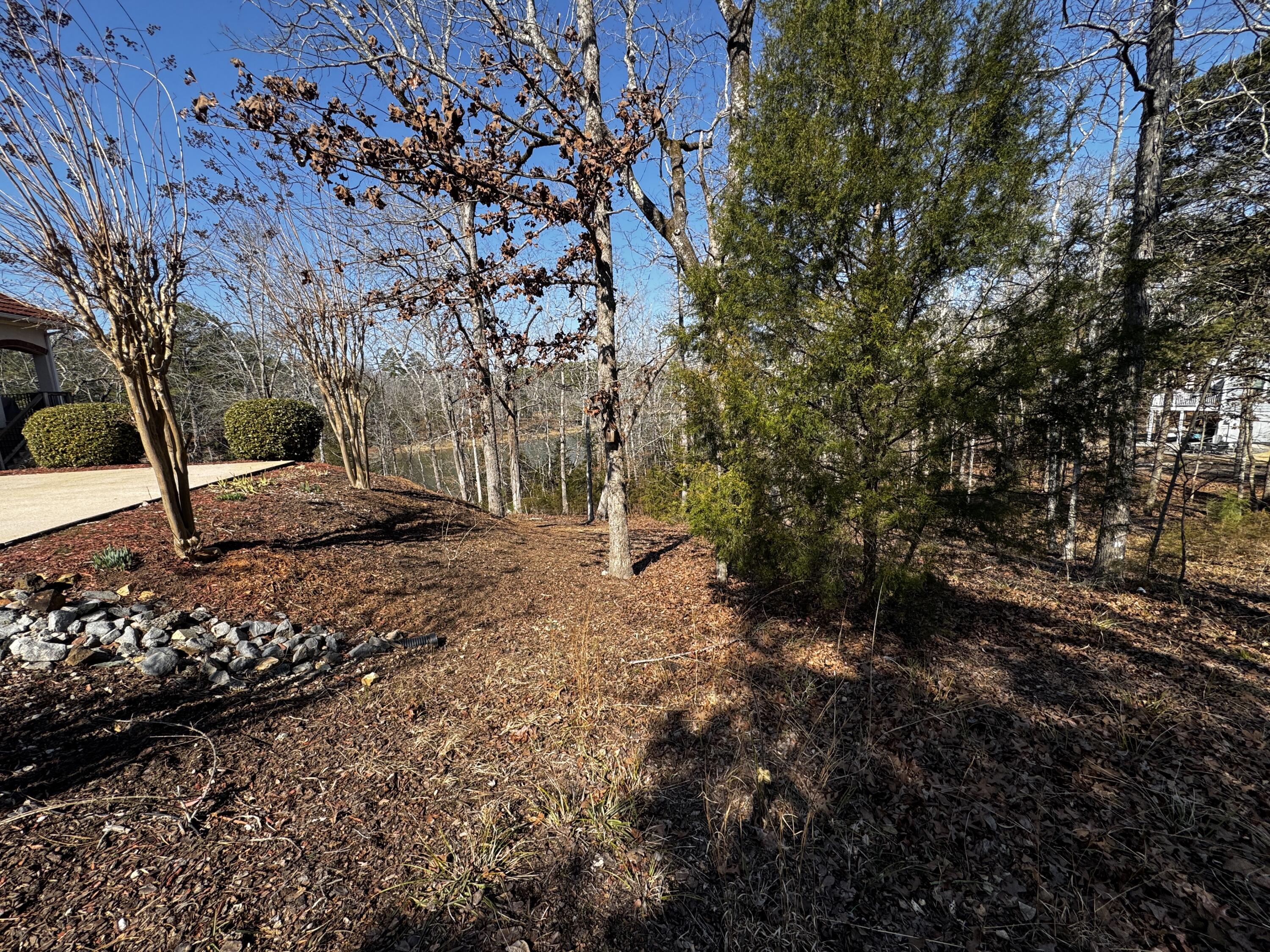 301 Pike Point McCormick, SC 29835 - Photo 5 of 8 IMG_6208