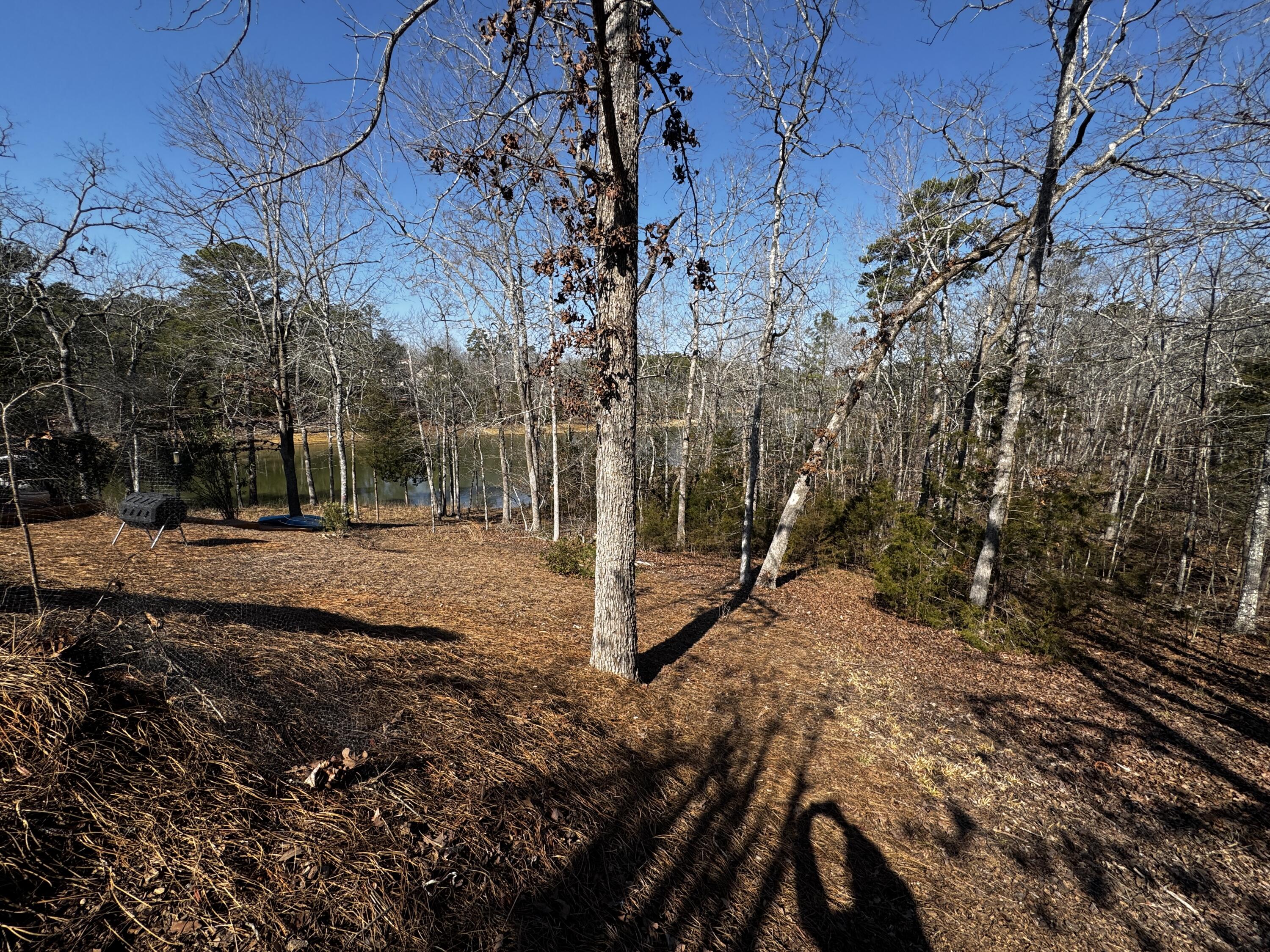 301 Pike Point McCormick, SC 29835 - Photo 6 of 8 IMG_6209