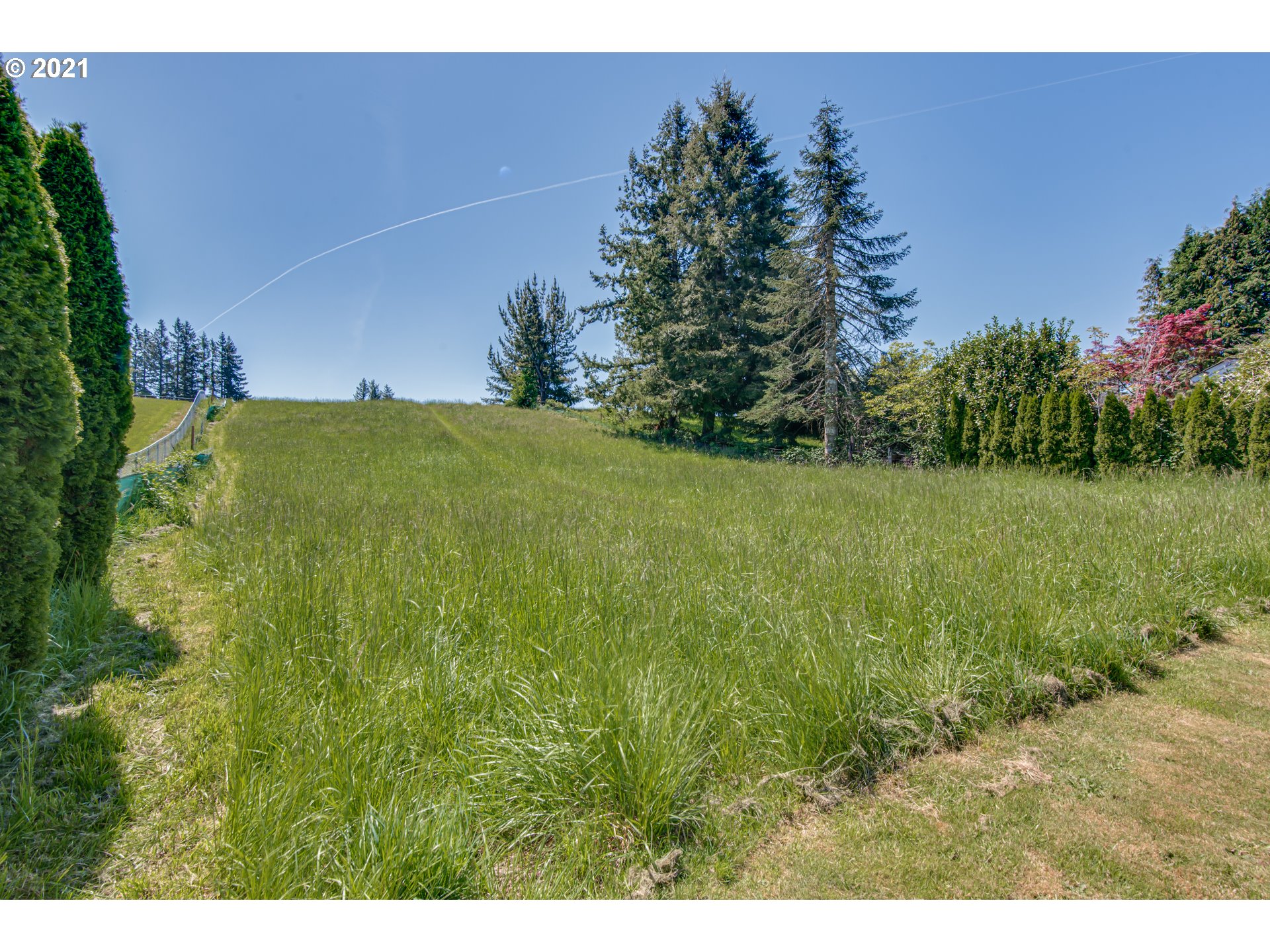 27503 Southeast 15th Street Camas, WA 98607 - Photo 10 of 12 a view of a yard