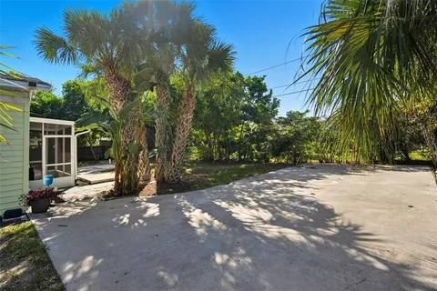 a view of a street with a tree