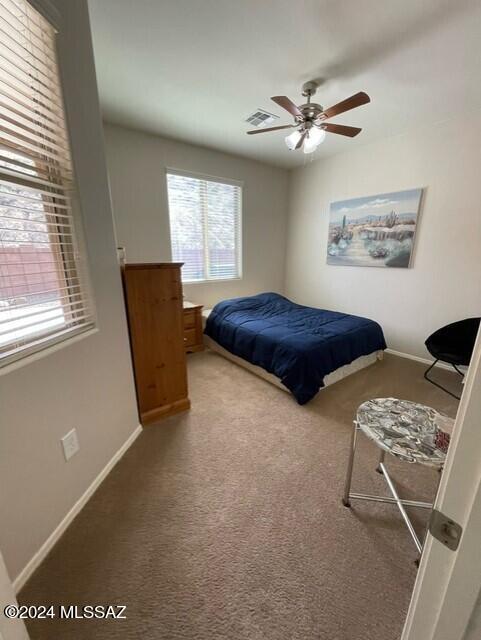 38825 South Running Roses Lane Tucson, AZ 85739 - Photo 15 of 20