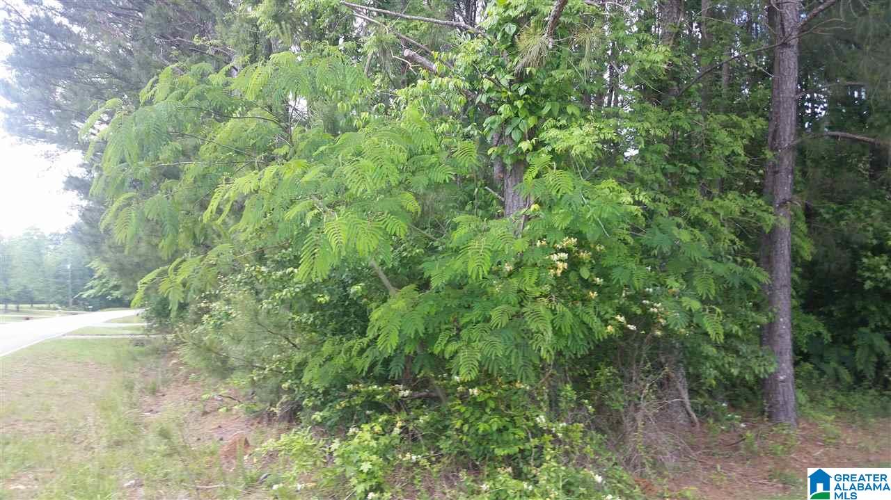 3527 McIntosh Road, Unit 12 Oxford, AL 36203 - Photo 2 of 16