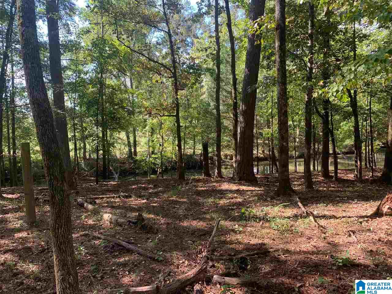 0 Embry Bend Road, Unit 1 Lincoln, AL 35096 - Photo 12 of 15