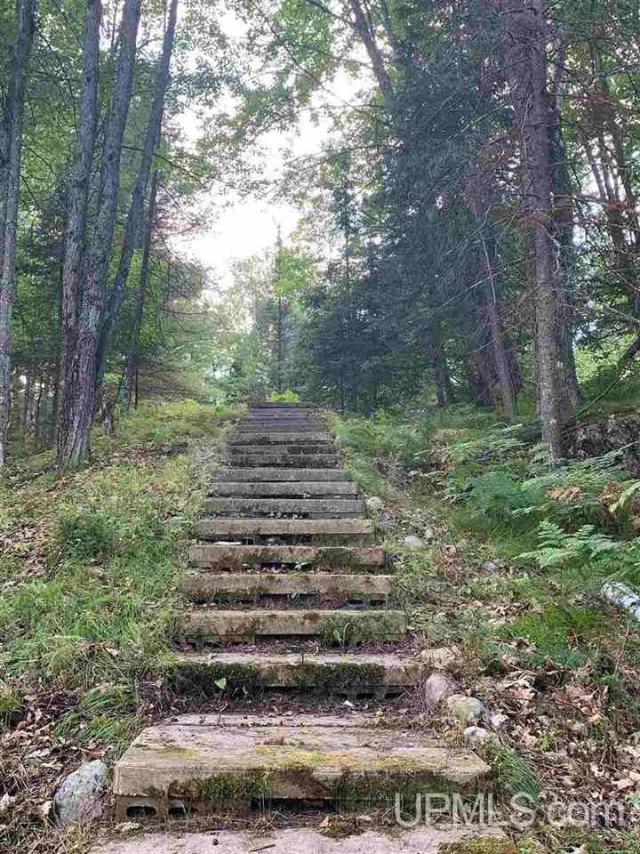 T-wi River Forest Road, Unit 10 Florence, WI 54121 - Photo 3 of 6